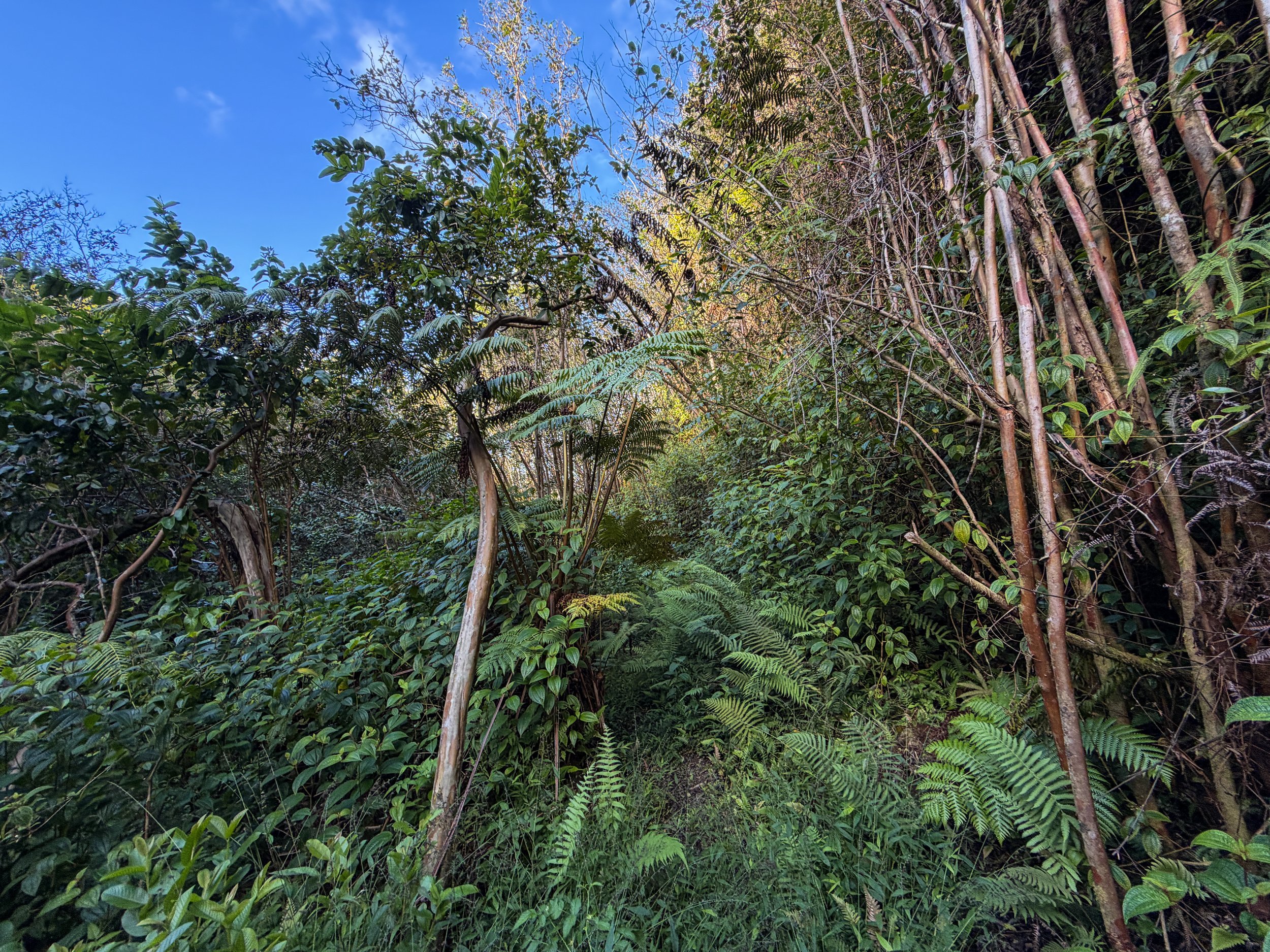 Mokuleia Hike Oahu Hawaii