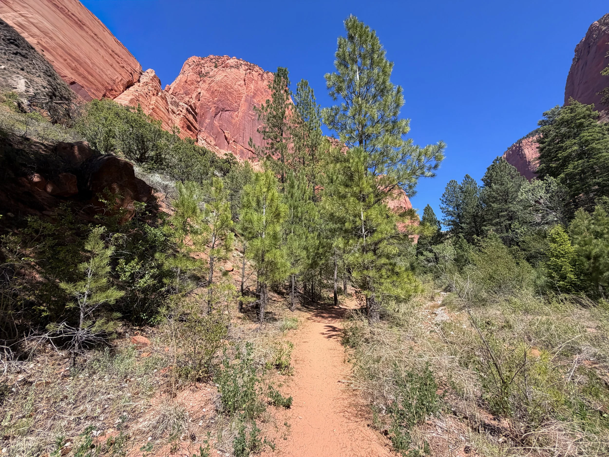 Taylor Creek Trail Zion National Park Utah