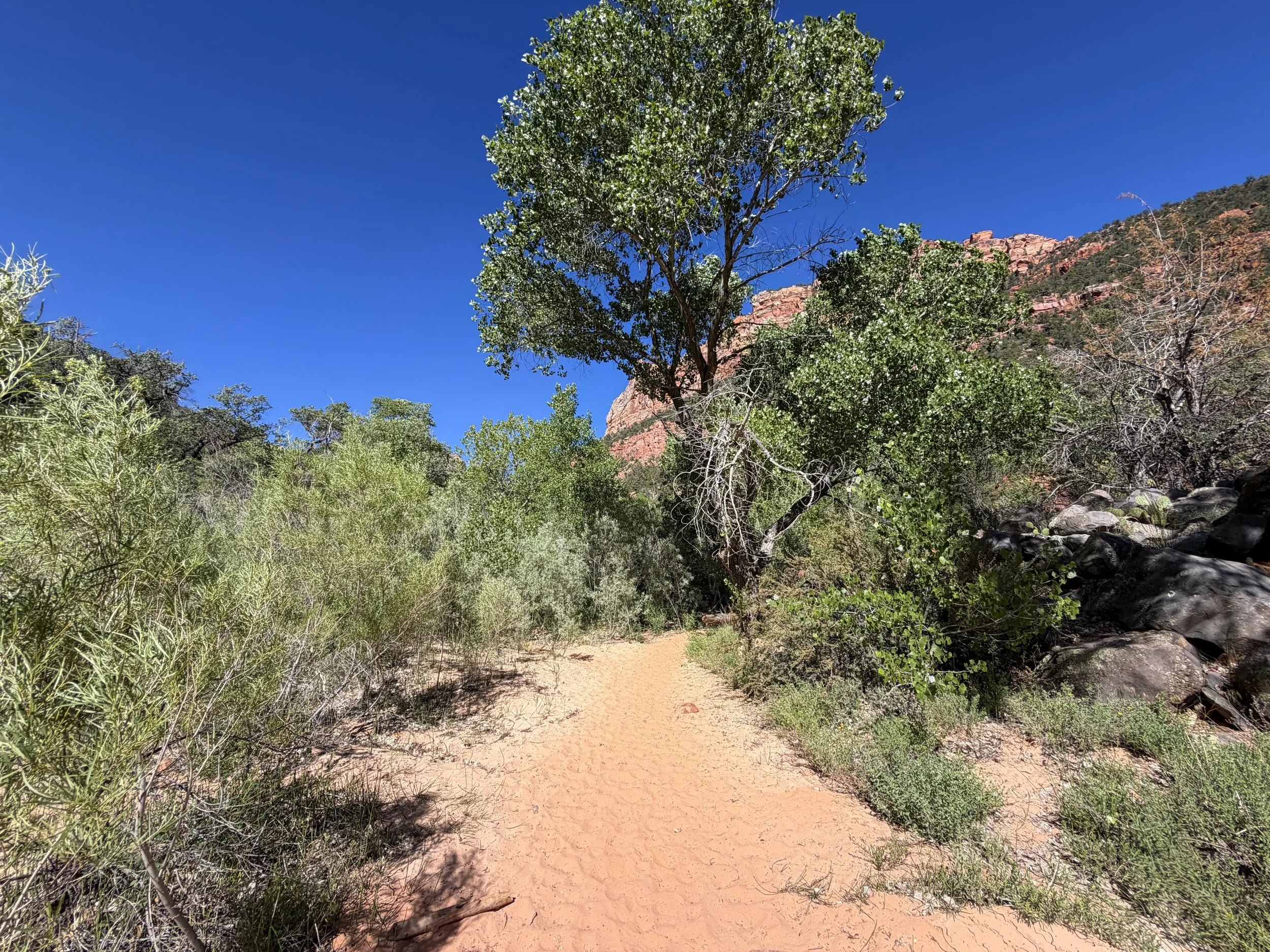 Subway Trail Bottom Up Route Zion National Park Utah