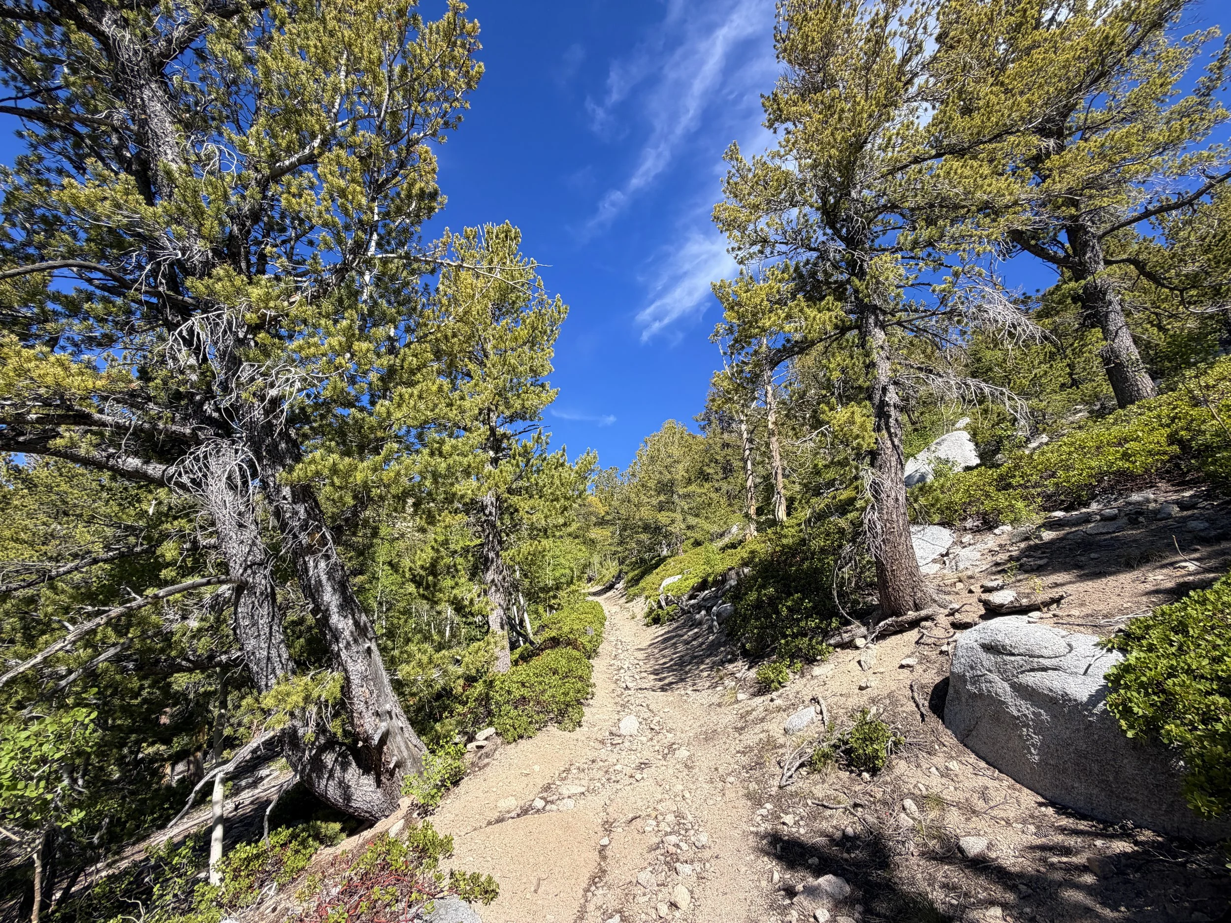 Johnson Lake Trail Great Basin National Park Nevada