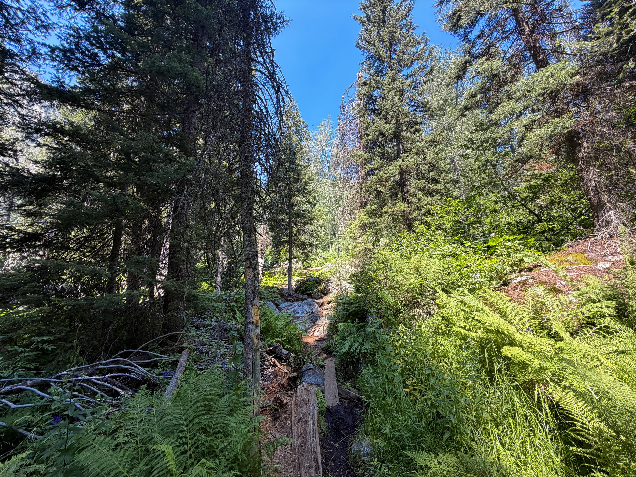Lake of the Crags Trail Grand Teton National Park Wyoming