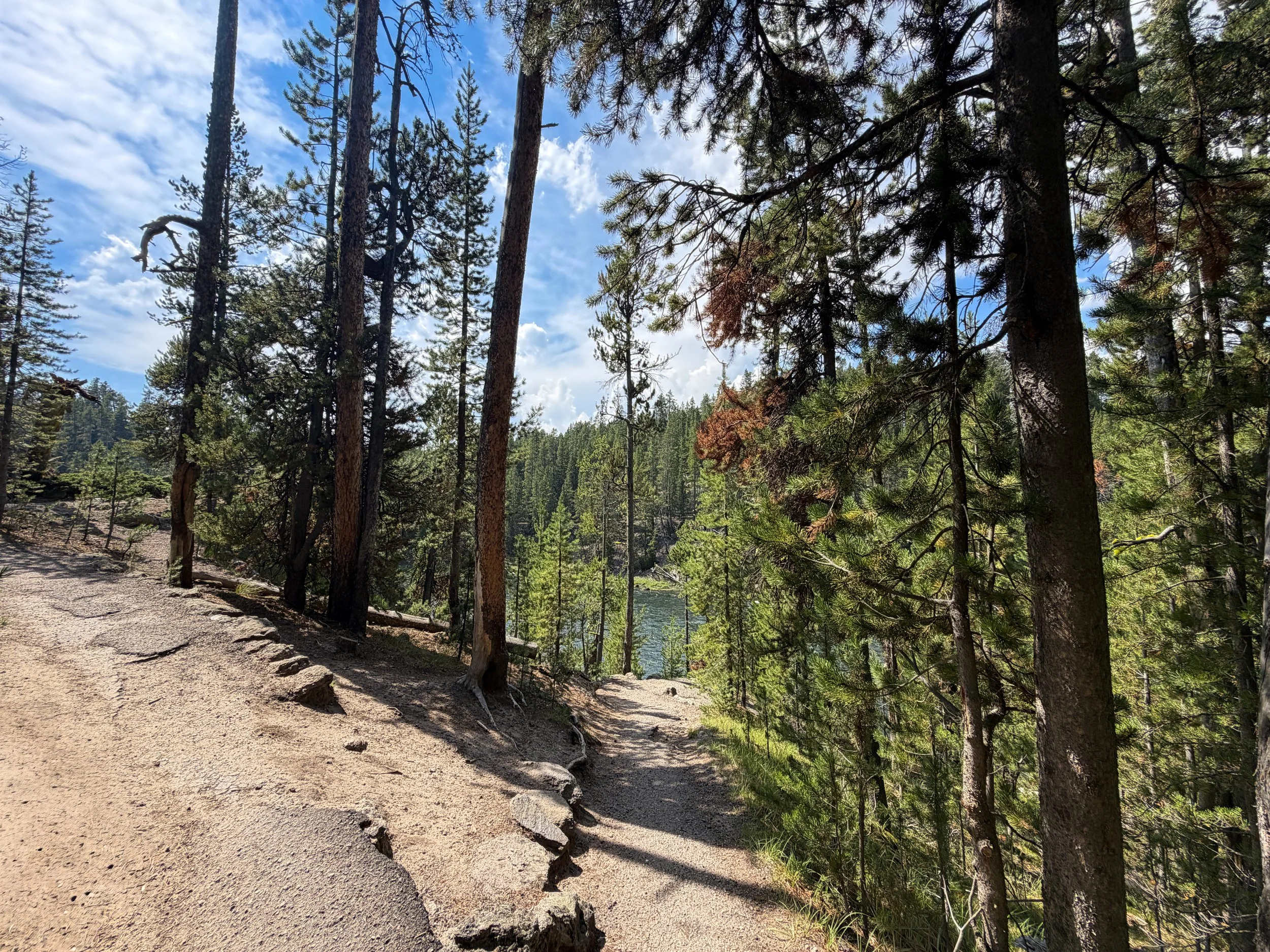 South Rim Trail Yellowstone National Park Wyoming