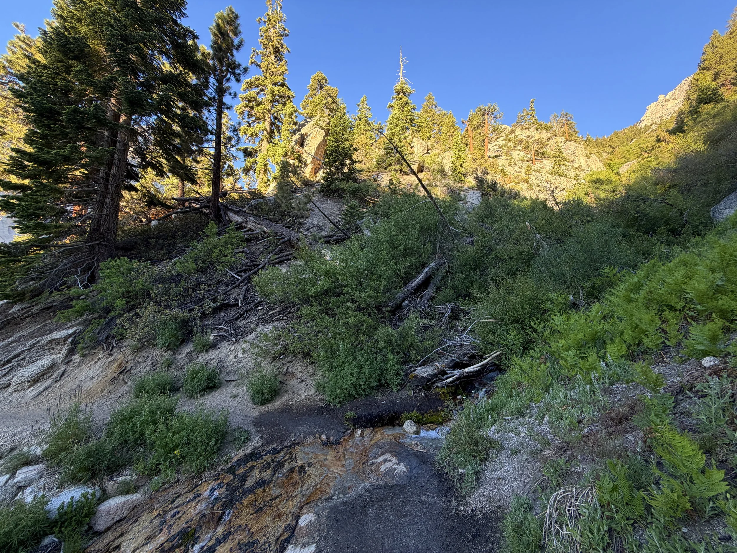 Mount Whitney Trail Lone Pine California