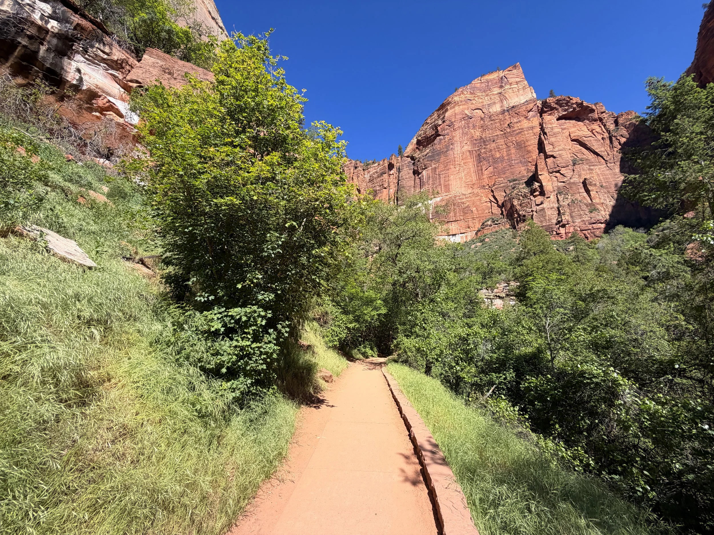 Lower Emerald Pools Hike Zion National Park Utah