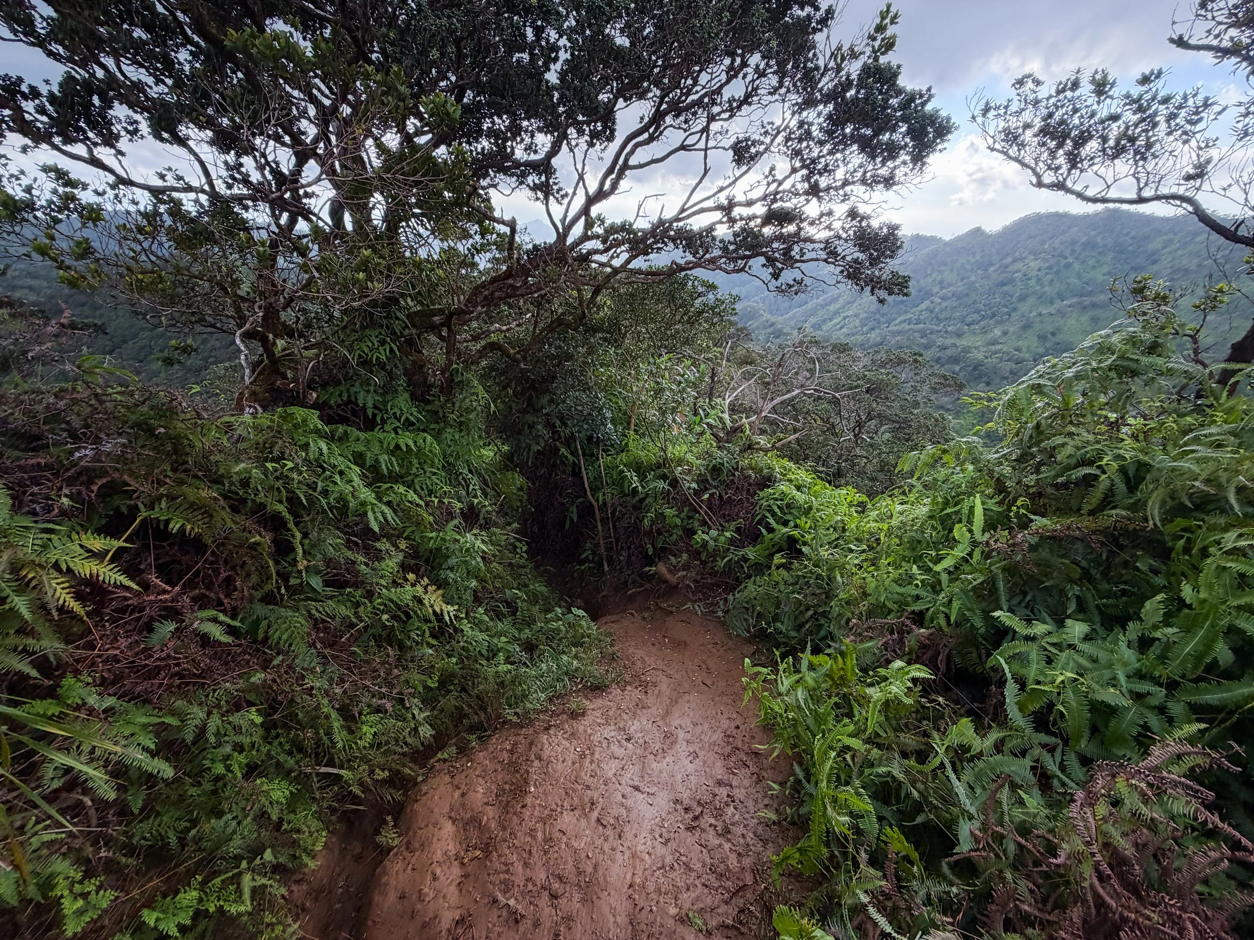 Kaau Crater Hike Oahu Hawaii