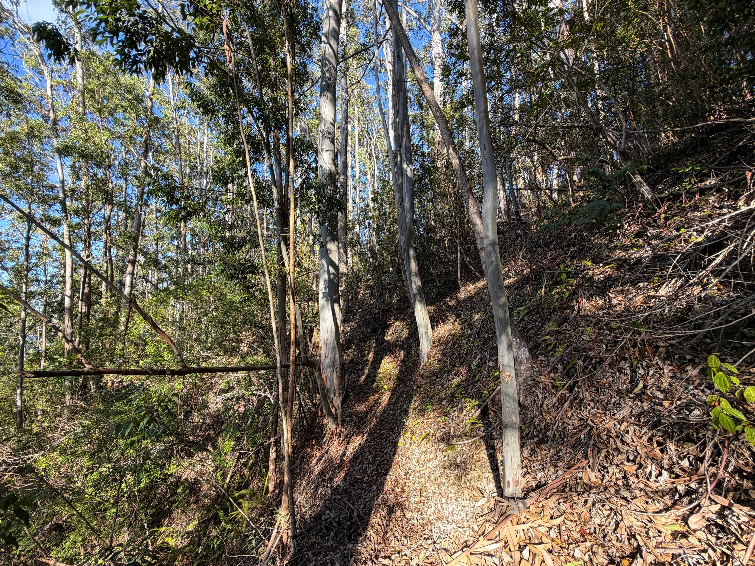 Mokuleia Trail Oahu Hawaii