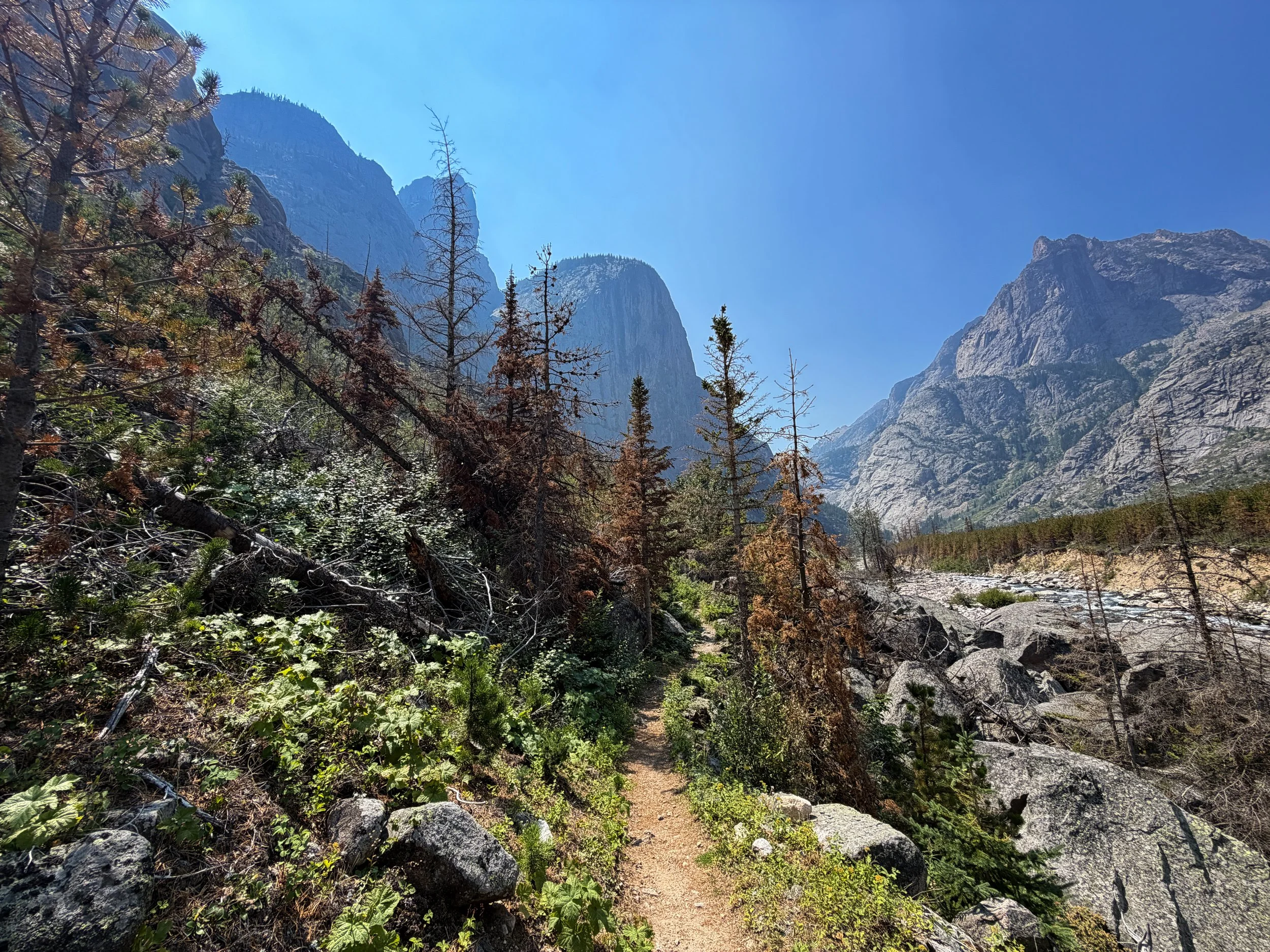 East Rosebud Trail Beaten Path Beartooth Mountains Montana