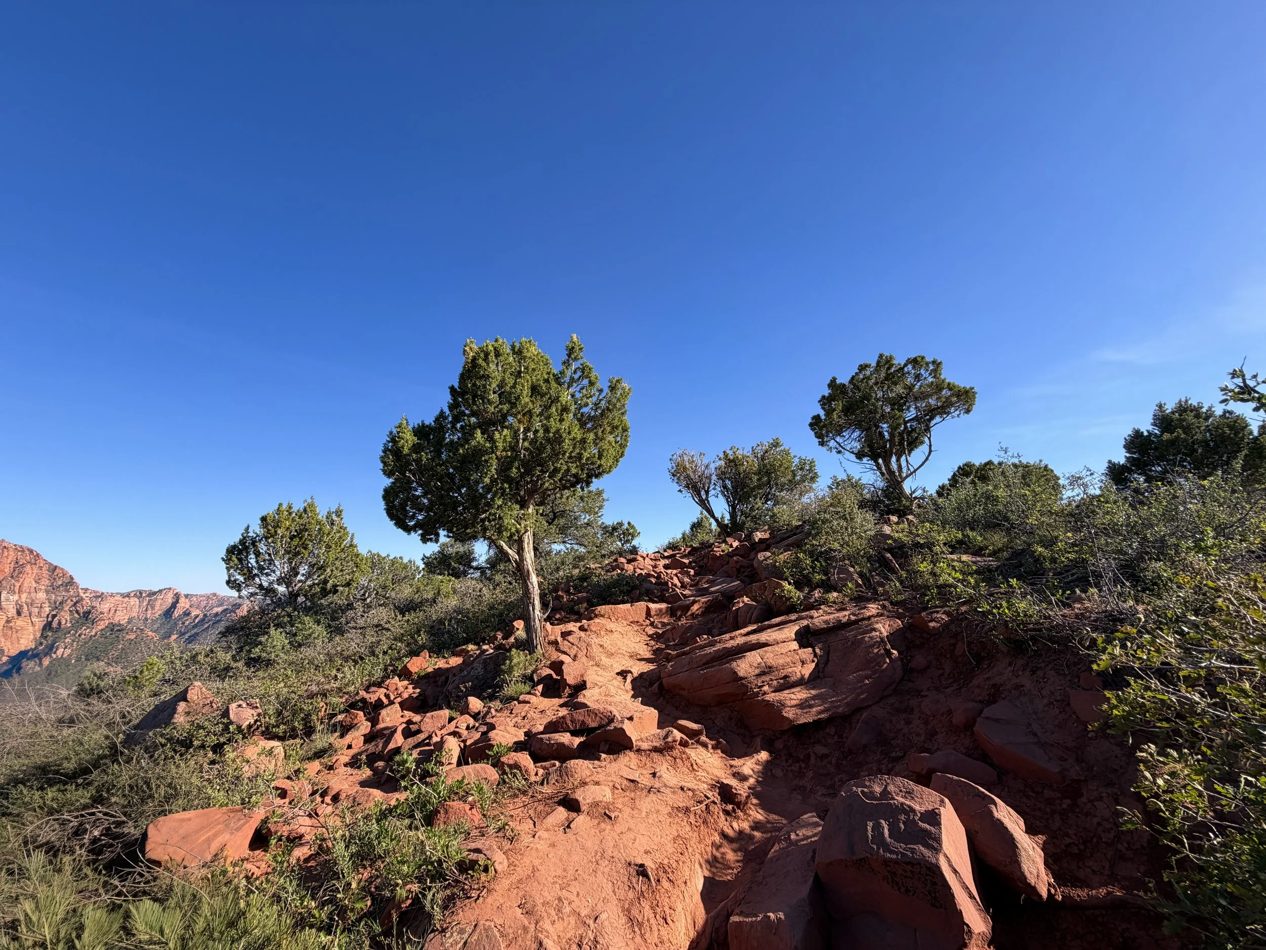 Timber Creek Overlook Trail Zion National Park Utah