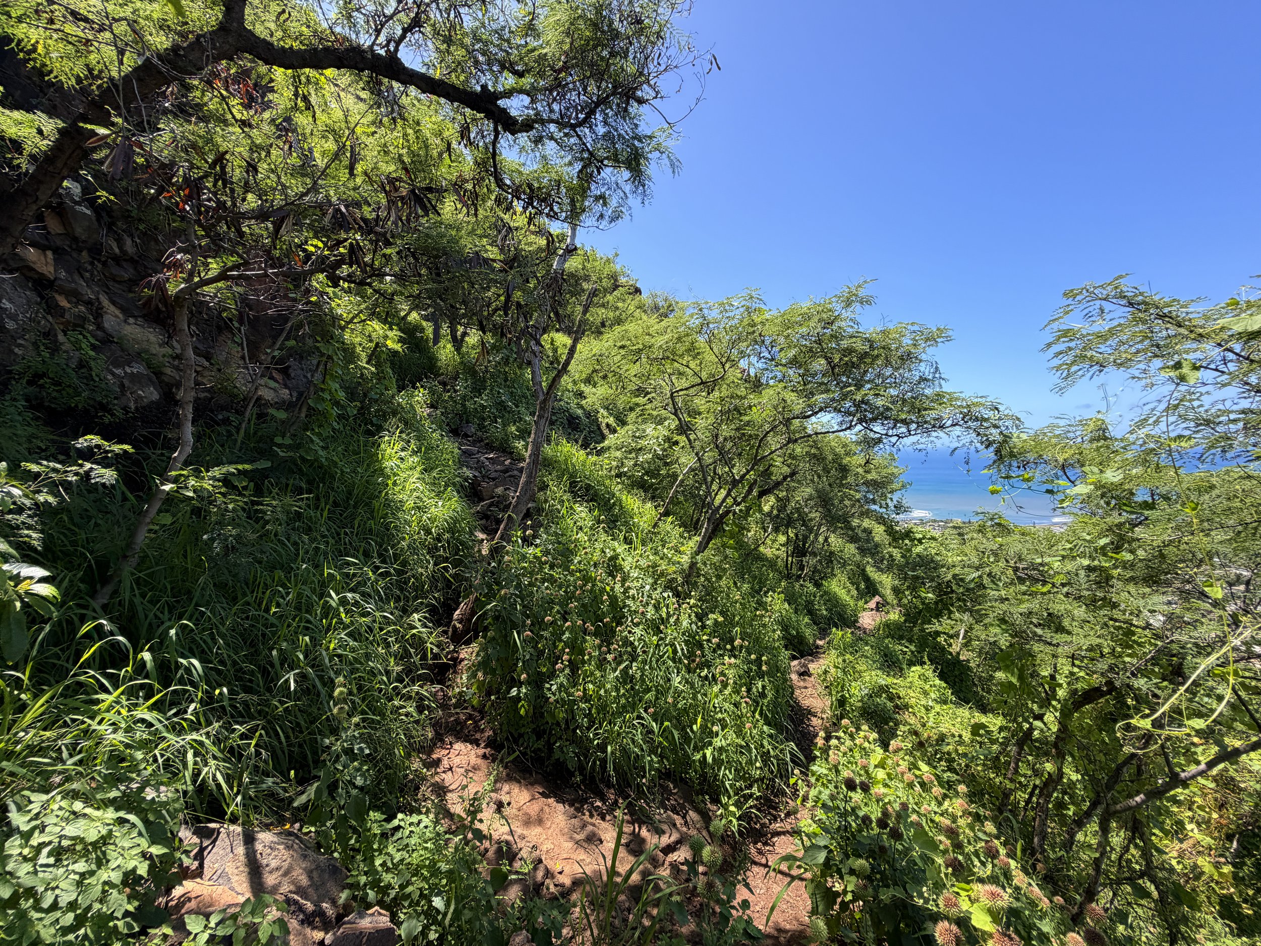 Pink Pillbox Hike Switchbacks Oahu Hawaii