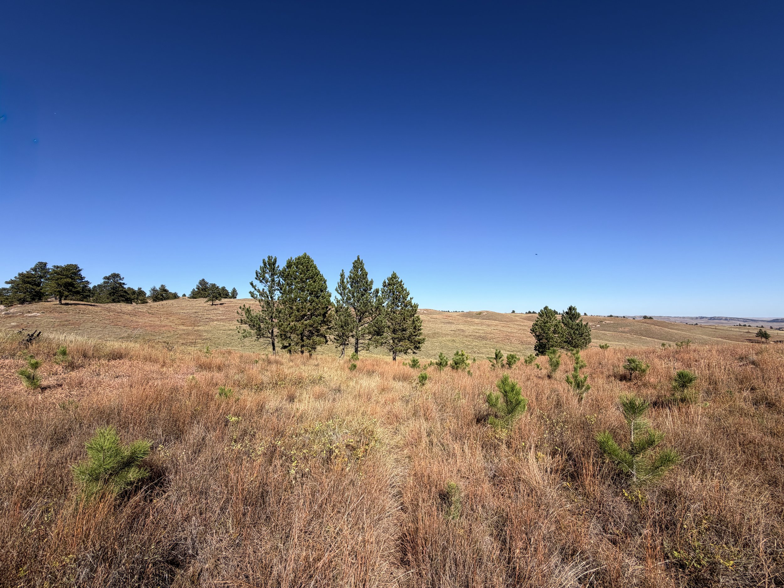 East Bison Flats Hike Wind Cave National Park South Dakota