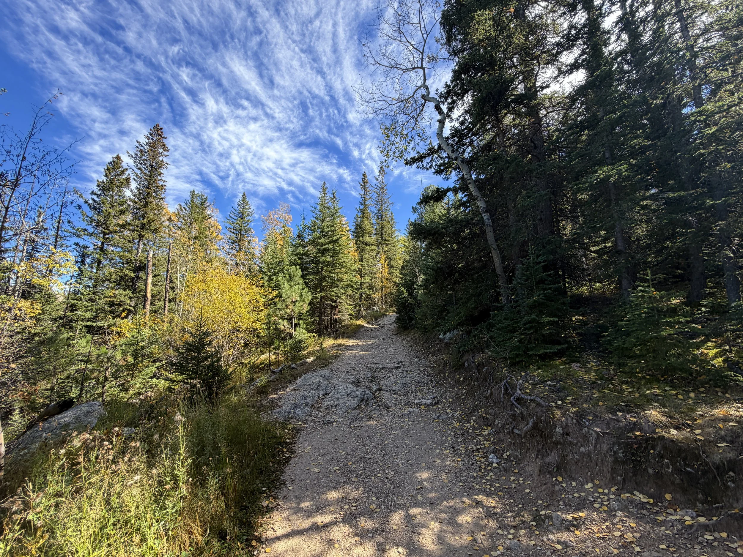 Black Elk Peak Hike Custer State Park Black Hills South Dakota
