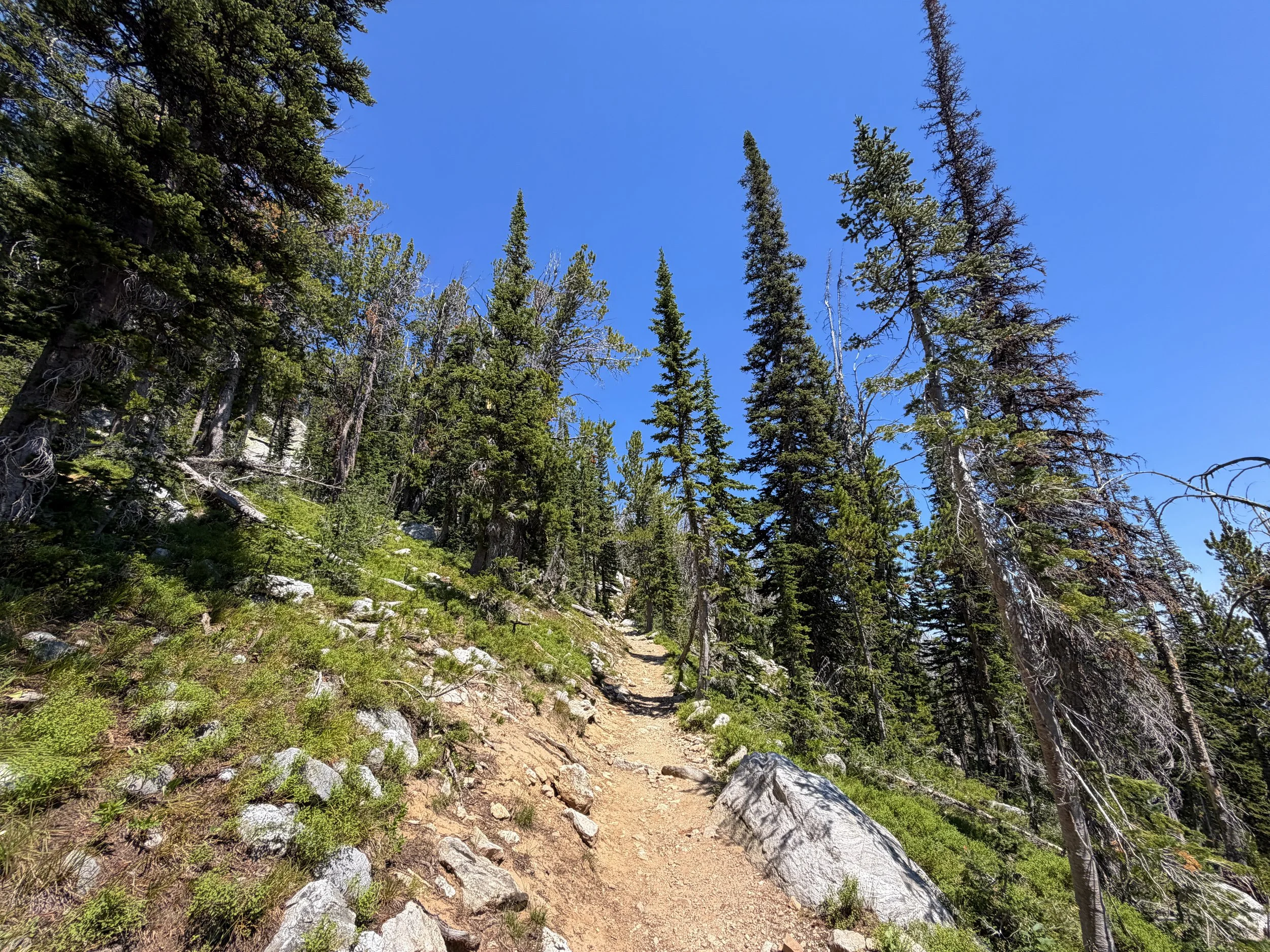 Surprise and Amphitheater Lakes Hike Grand Teton National Park Wyoming