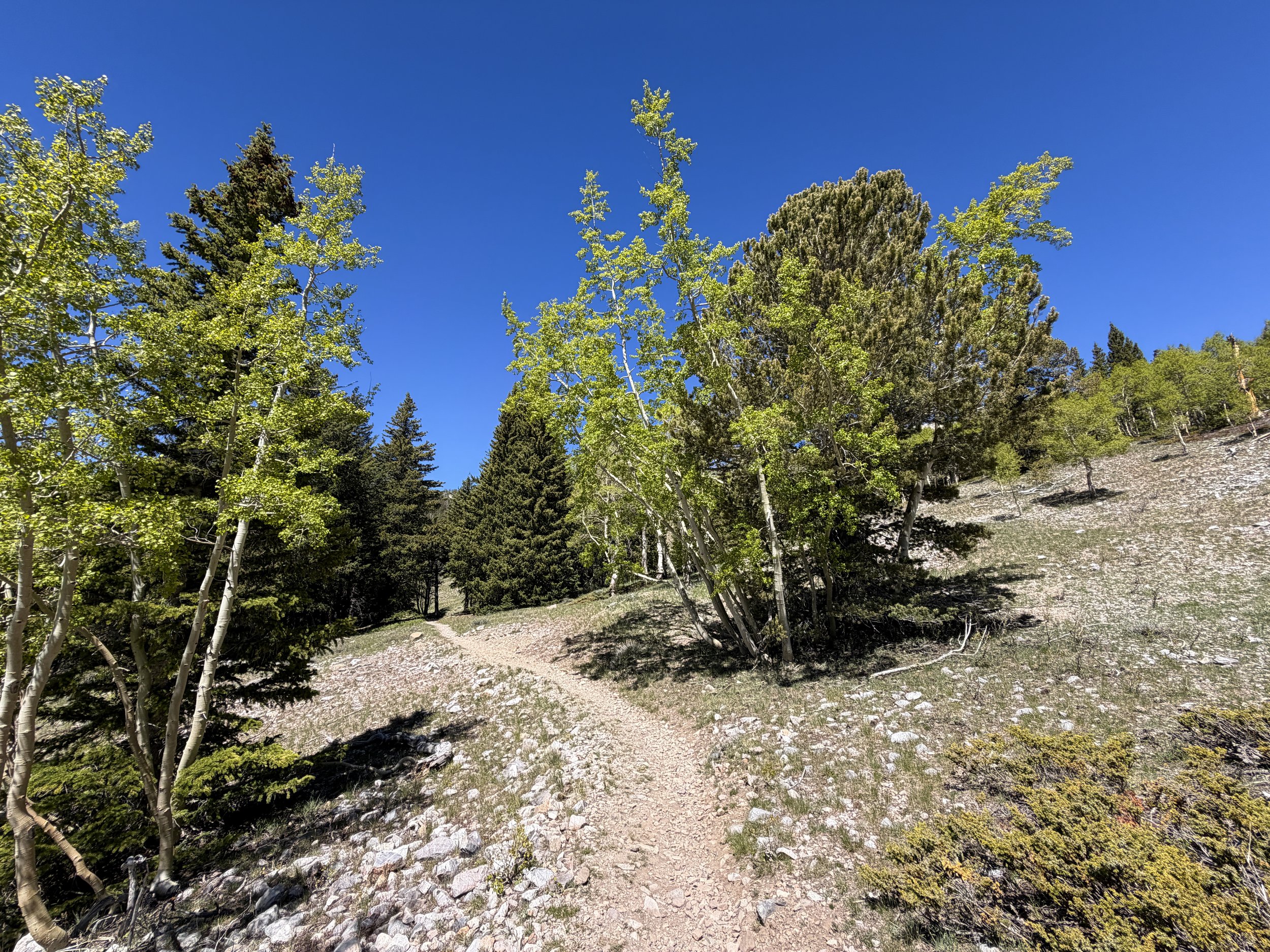 Wheeler Peak Summit Hike Great Basin National Park Nevada