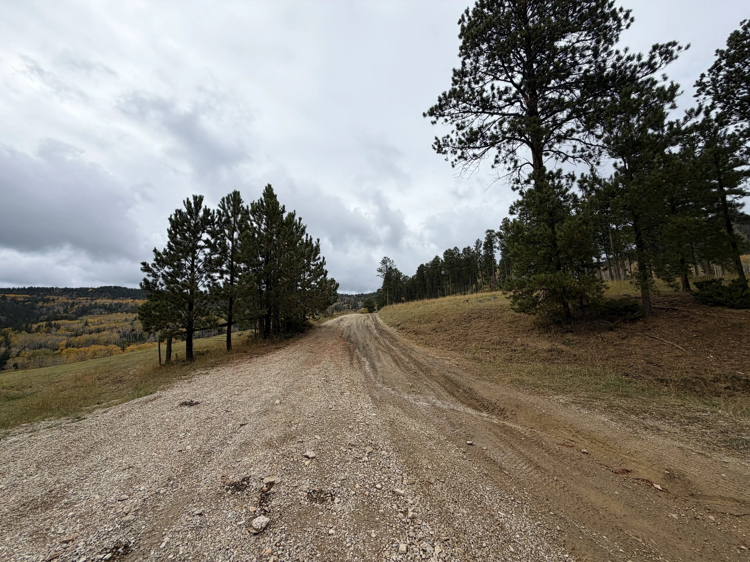 Custer Peak Trailhead Black Hills South Dakota