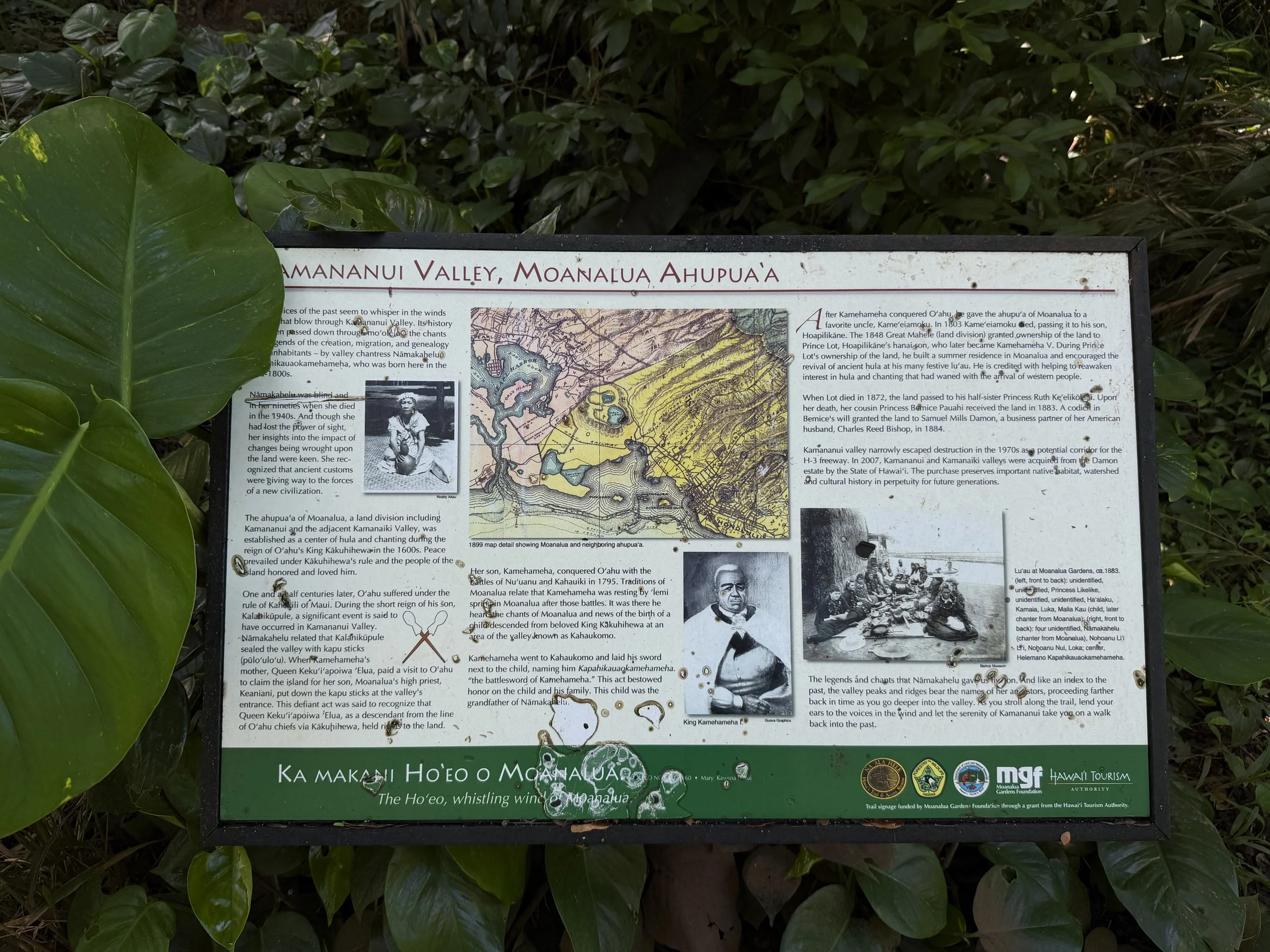 Tripler Ridge Trail via Moanalua Valley Oahu Hawaii