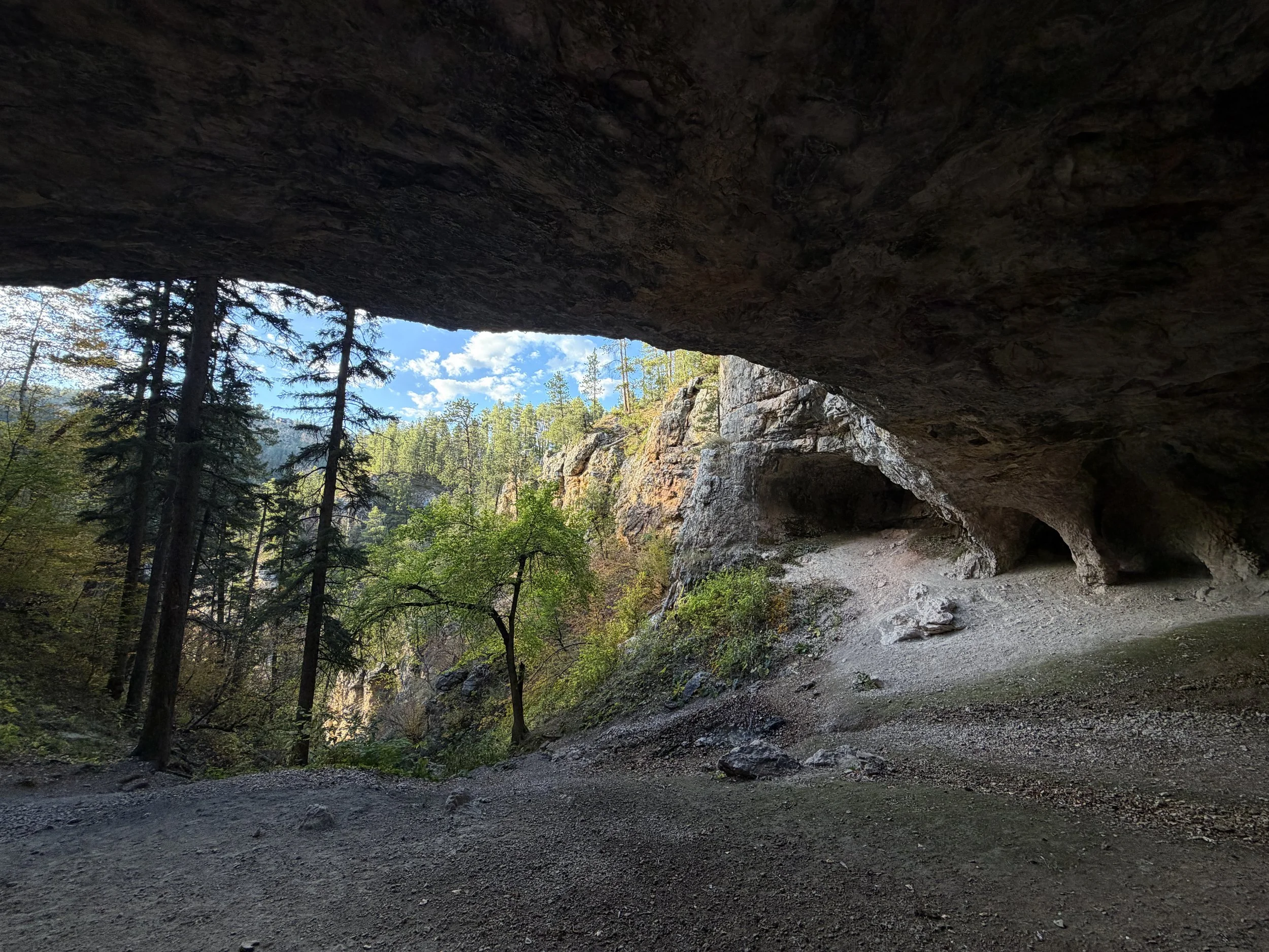 Community Caves Spearfish Canyon Black Hills South Dakota