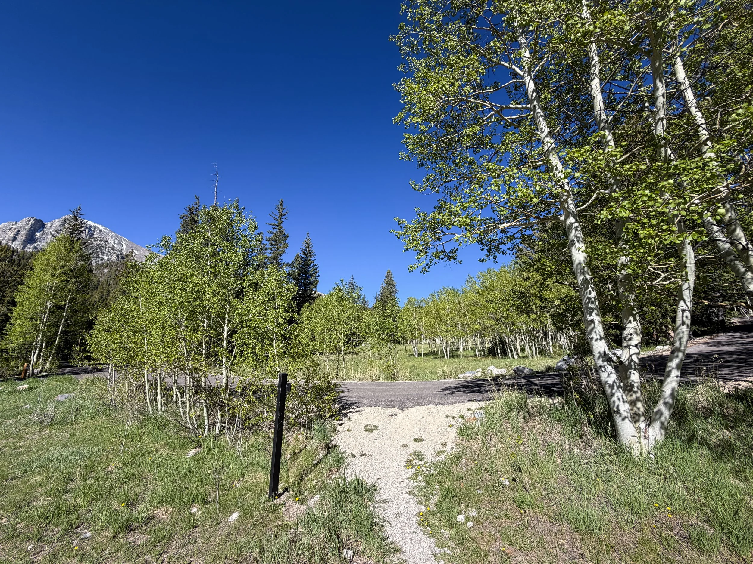 Lehman Creek Trailhead Great Basin National Park Nevada