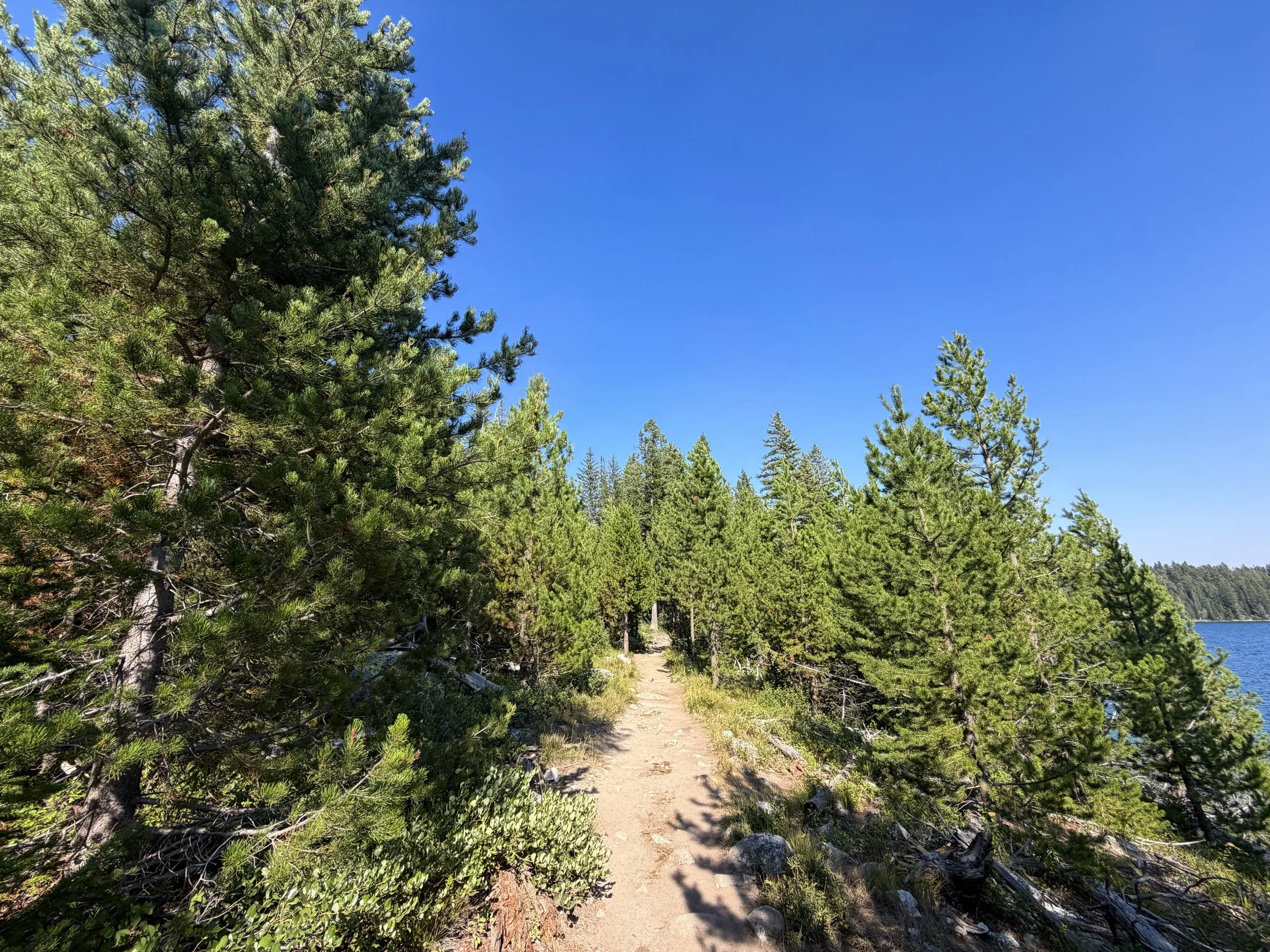 Jenny Lake Trail Grand Teton National Park Wyoming