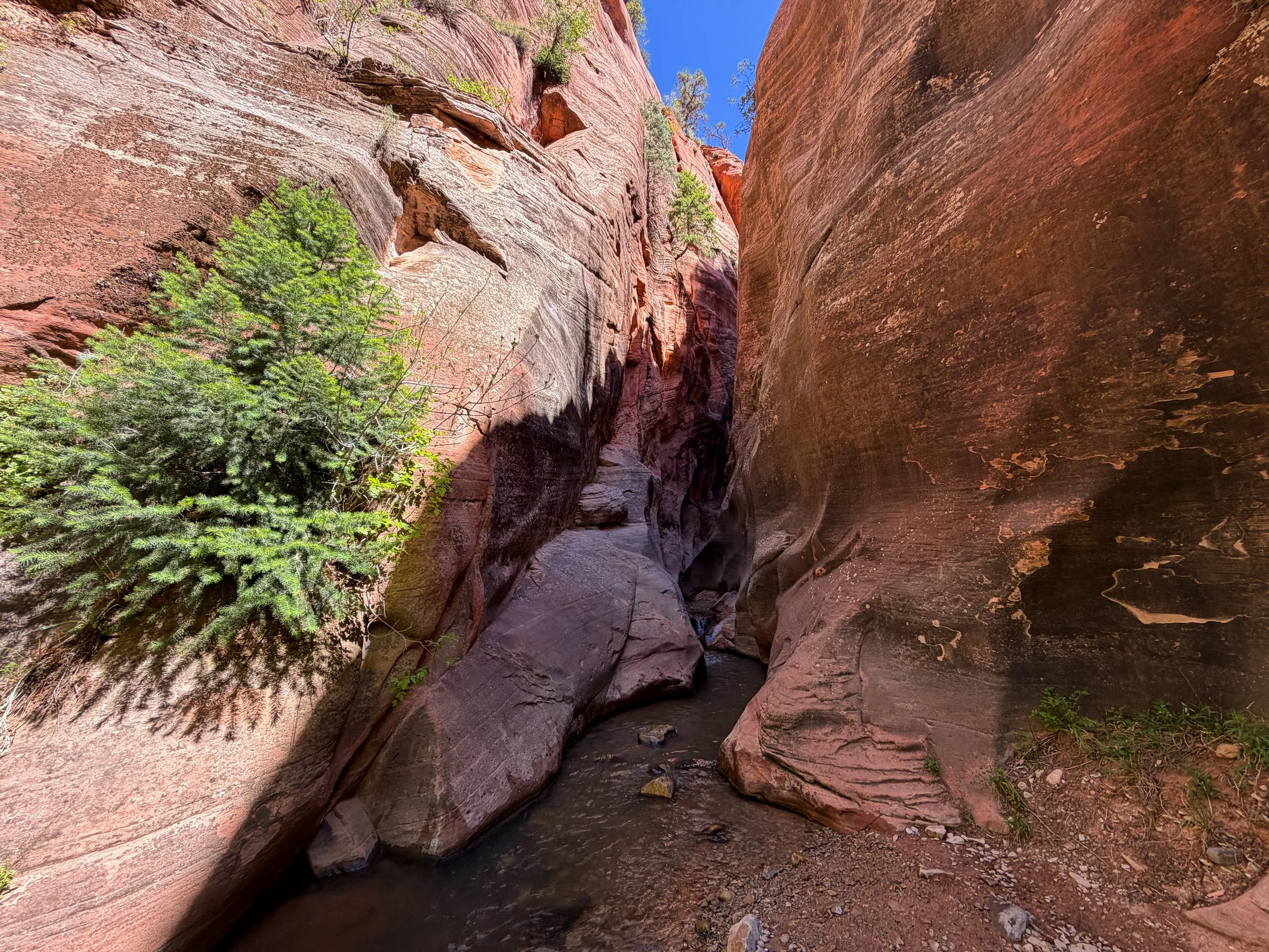 Kanarra Falls Trail Narrows Kanarraville Utah