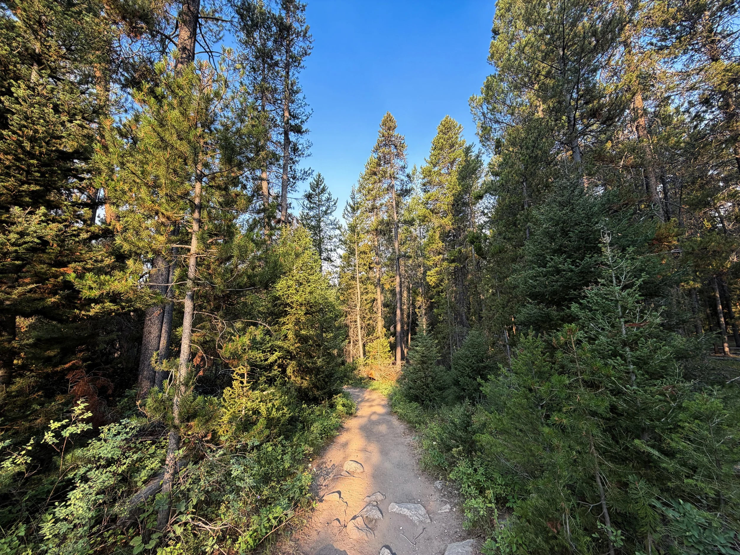 Boulder Ridge Loop Trail Grand Teton National Park Wyoming