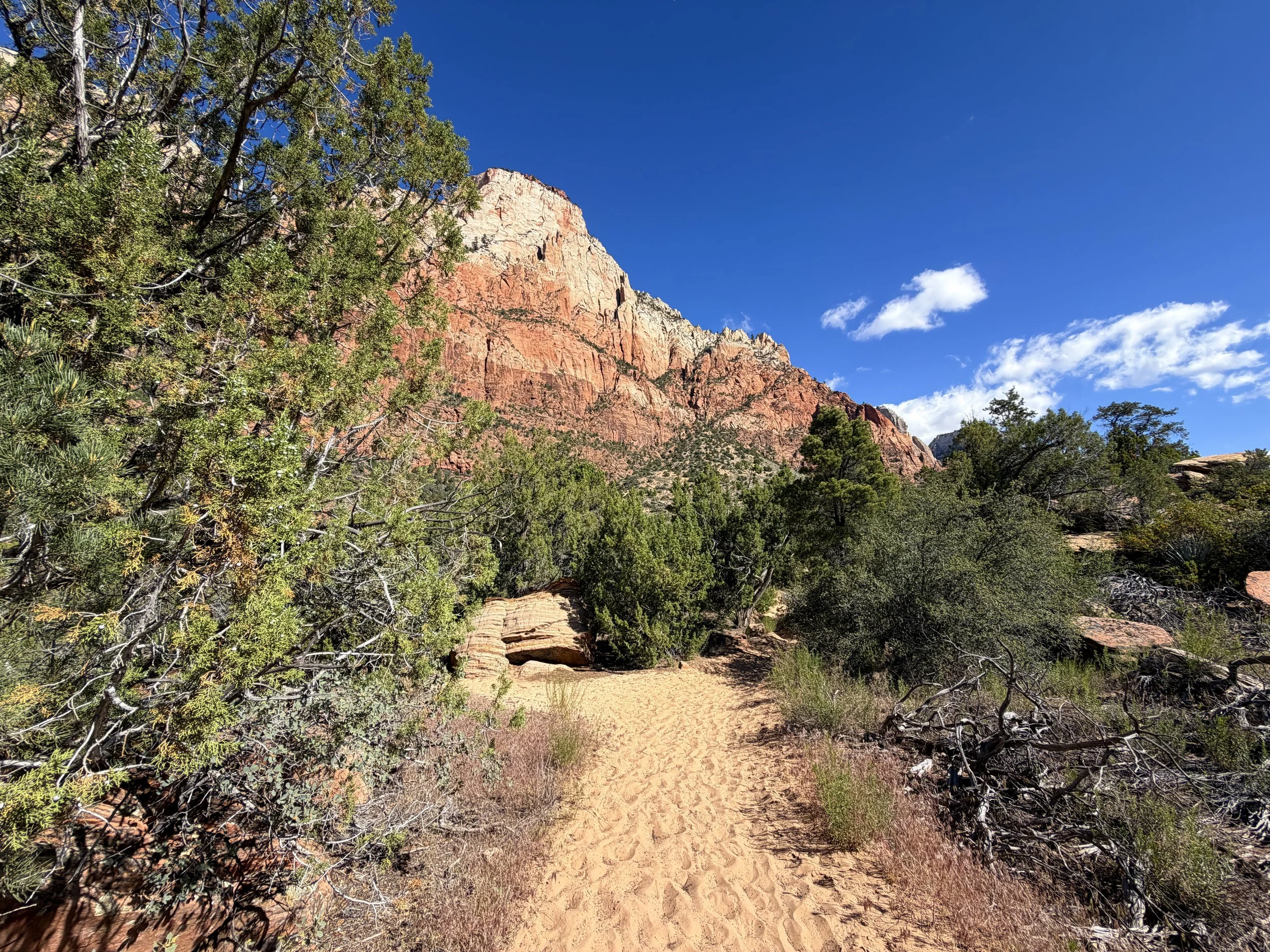 Sand Bench Trail Zion National Park Utah