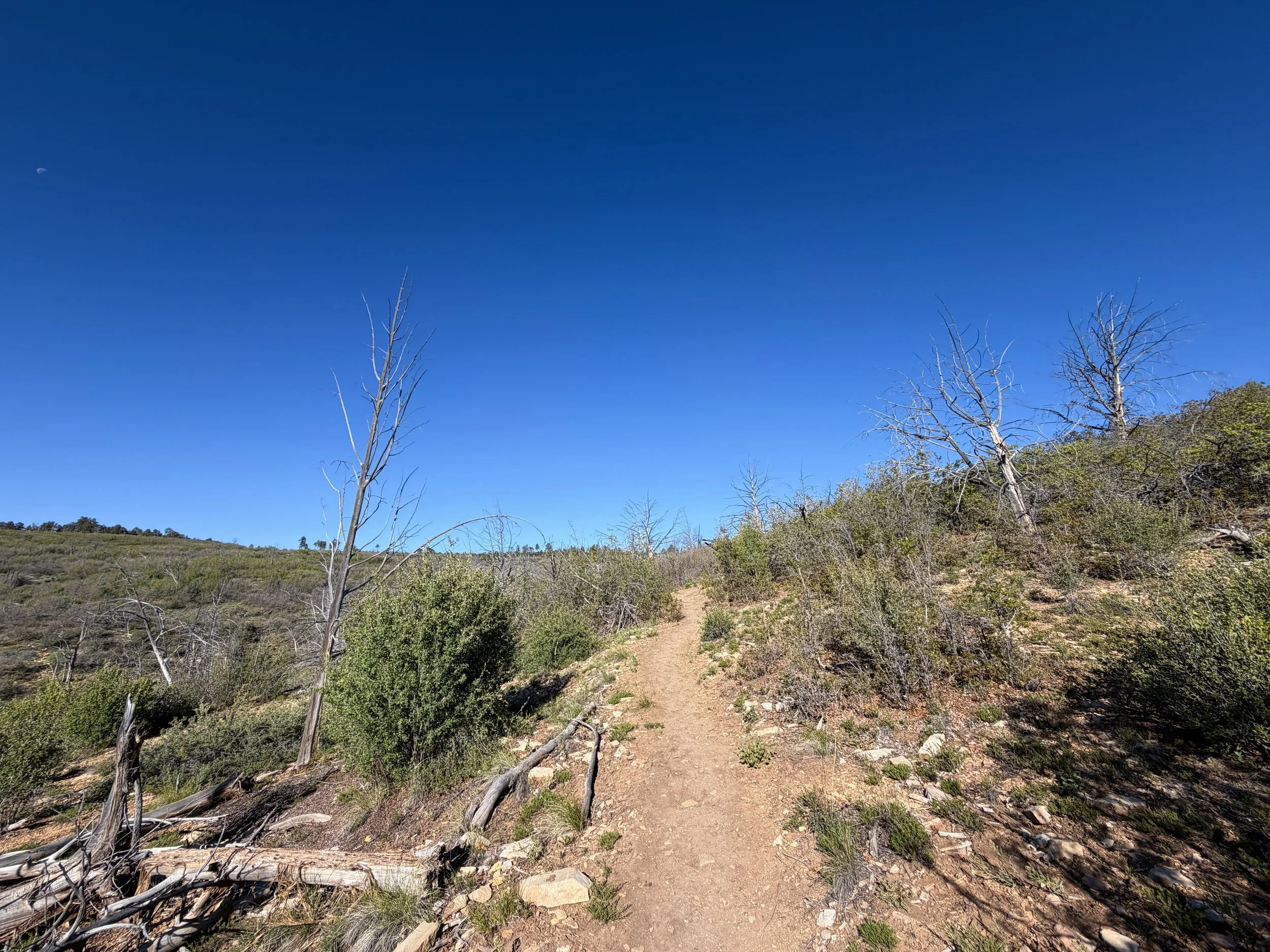Deertrap Mountain Hike Zion National Park Utah