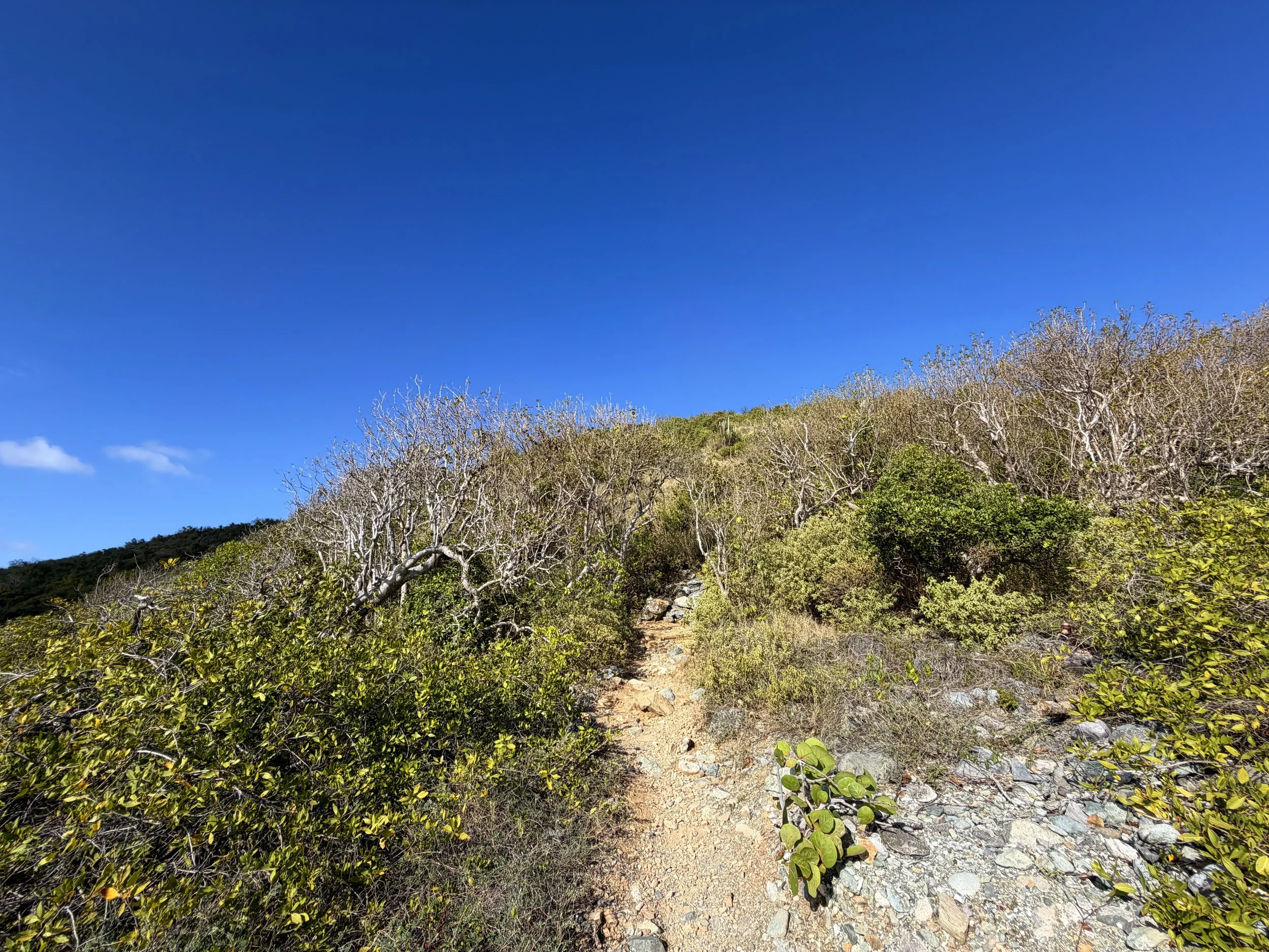 Ram Head Trail Virgin Islands National Park