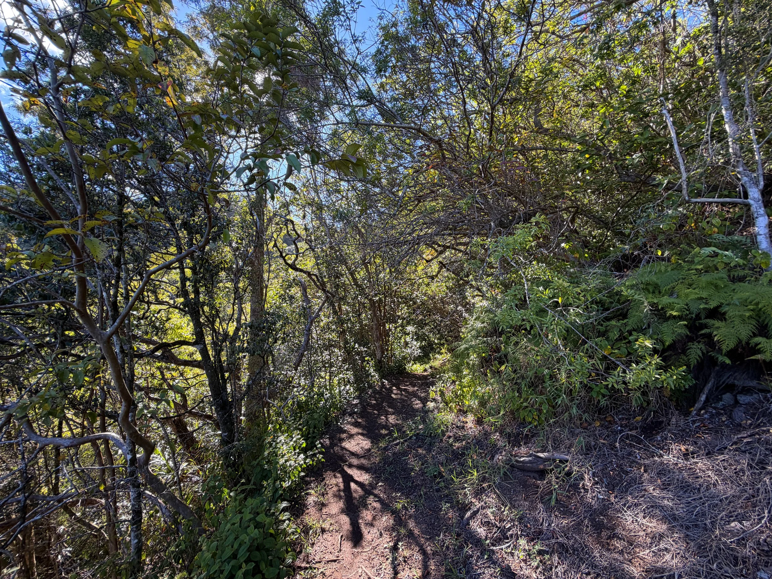 Mokuleia Trail Oahu Hawaii
