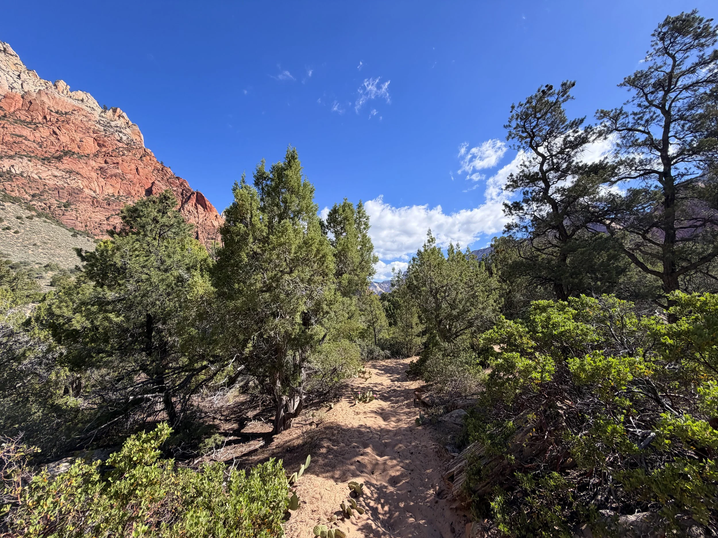 Sand Bench Trail Zion National Park Utah