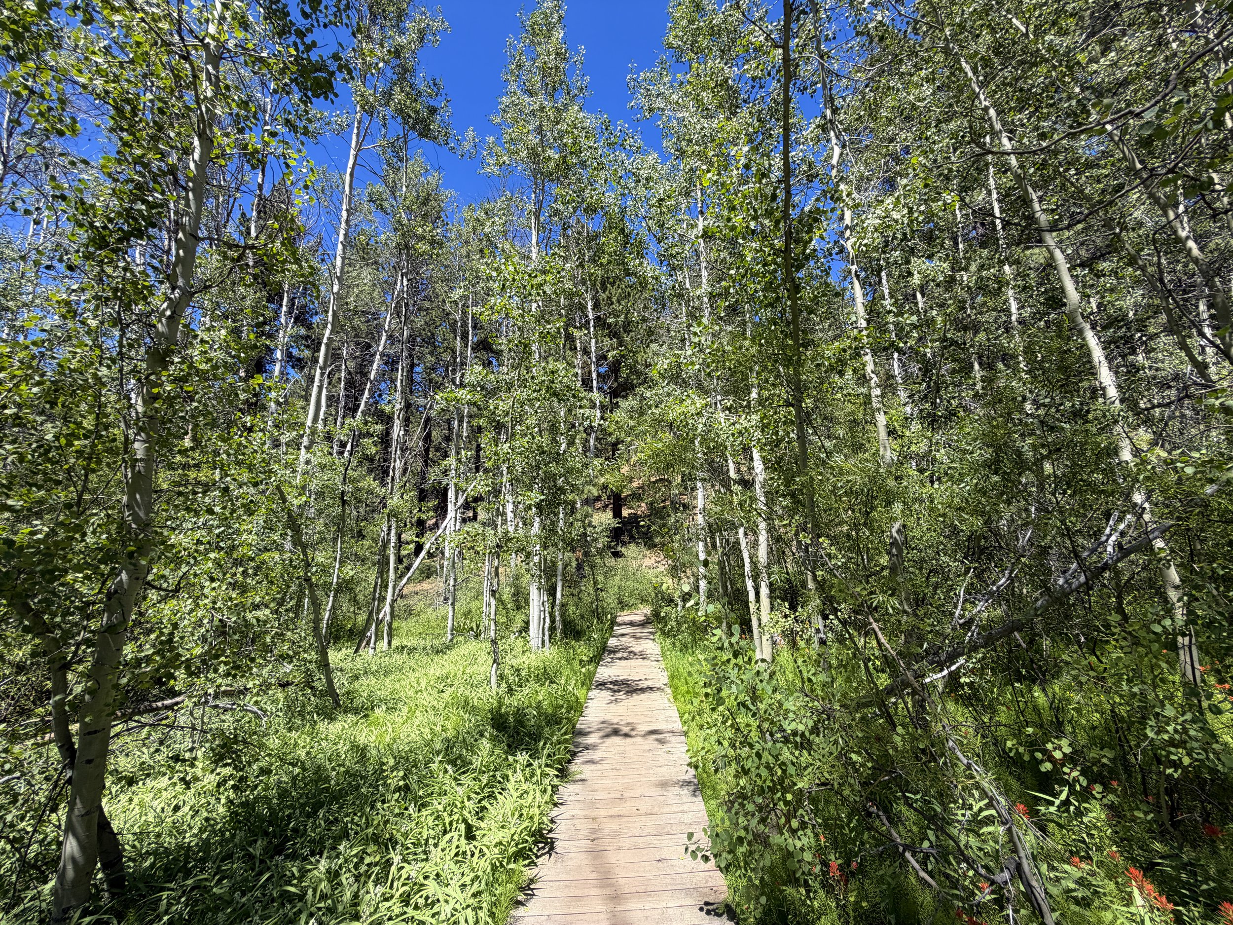 Spooner Lake Loop Trail Lake Tahoe Nevada