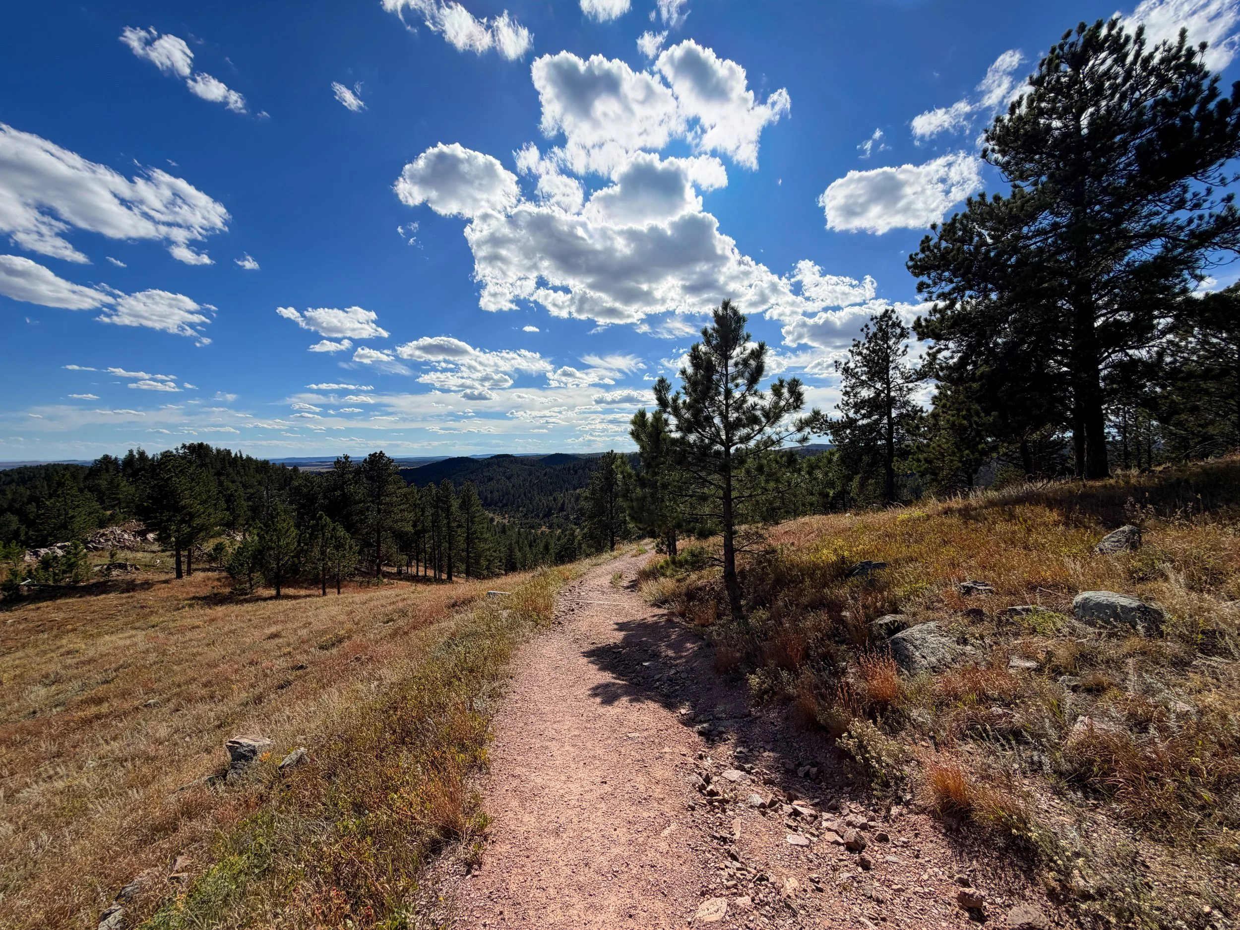 Rankin Ridge Trail Wind Cave National Park South Dakota