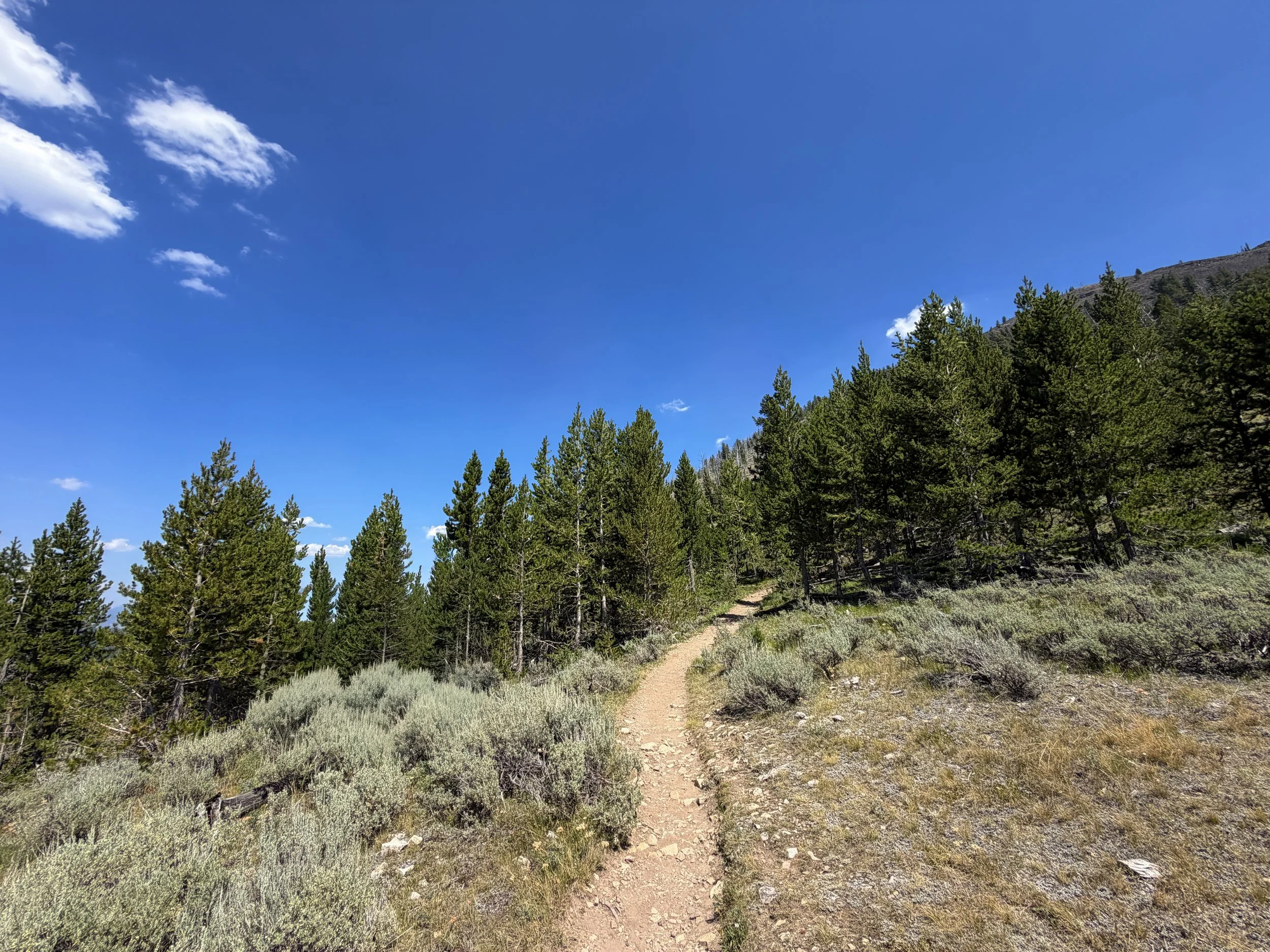 Bunsen Peak Hike Yellowstone National Park Wyoming