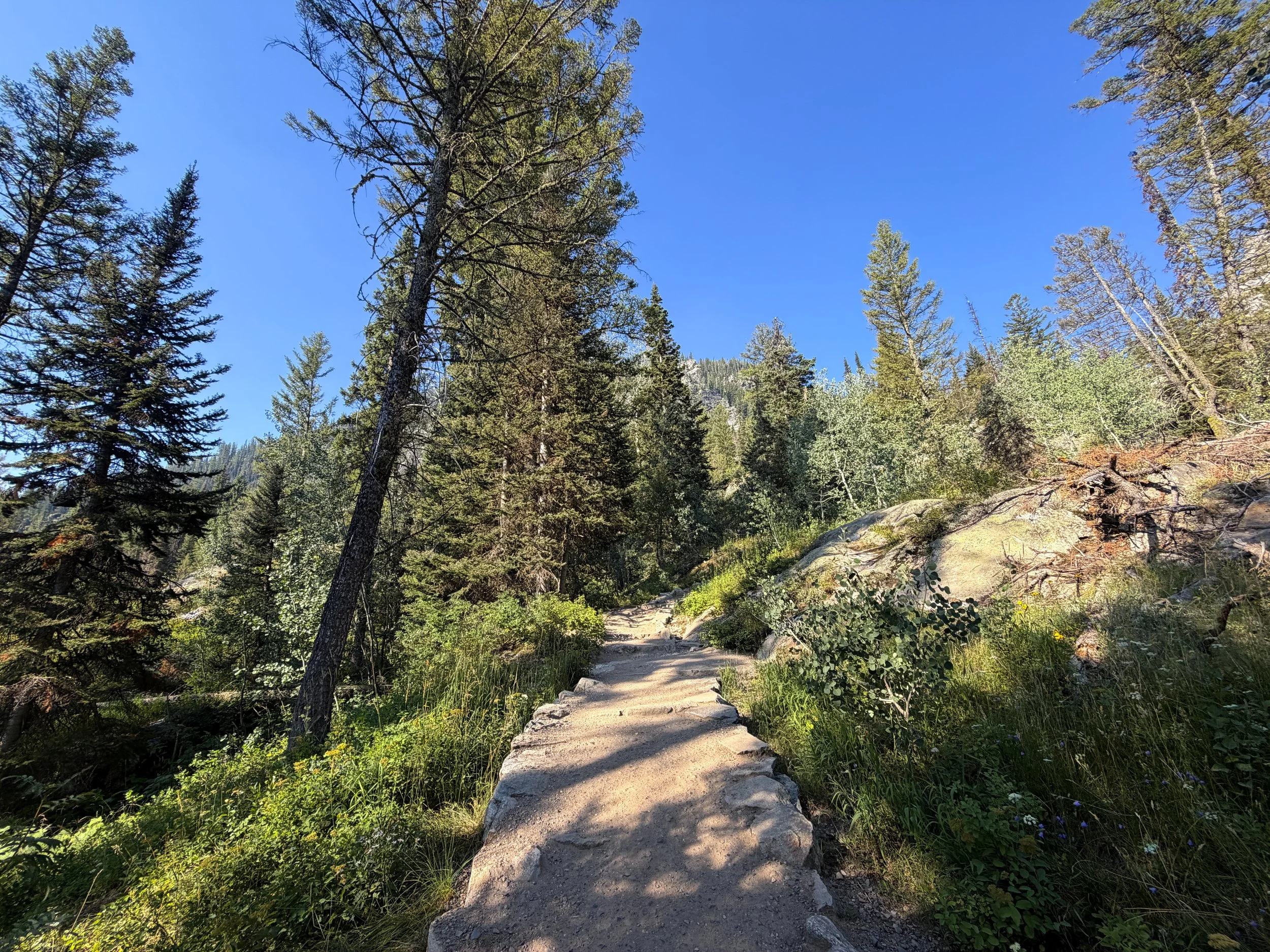 Hidden Falls Trail Grand Teton National Park Wyoming