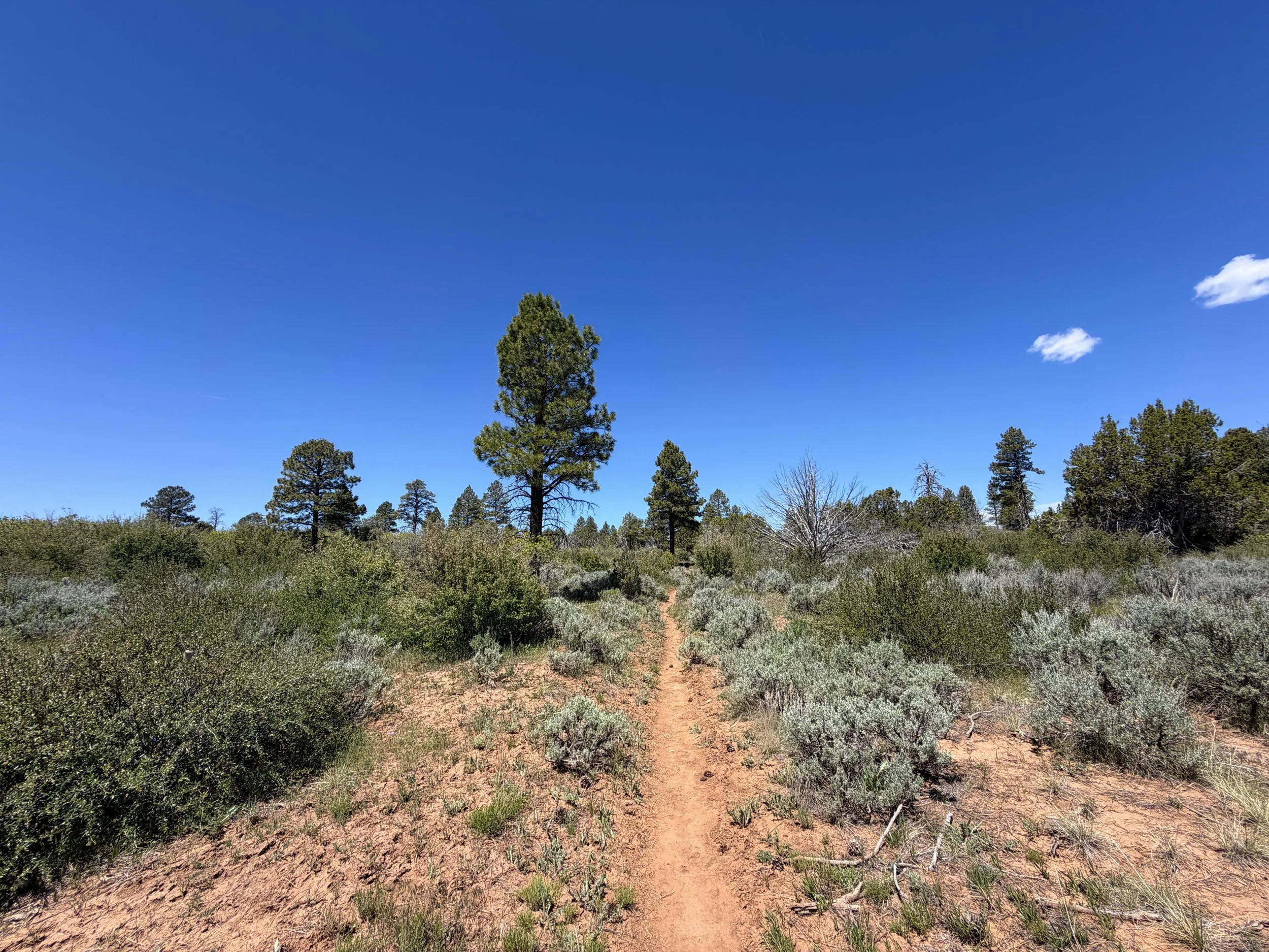 Cable Mountain Trail Zion National Park Utah