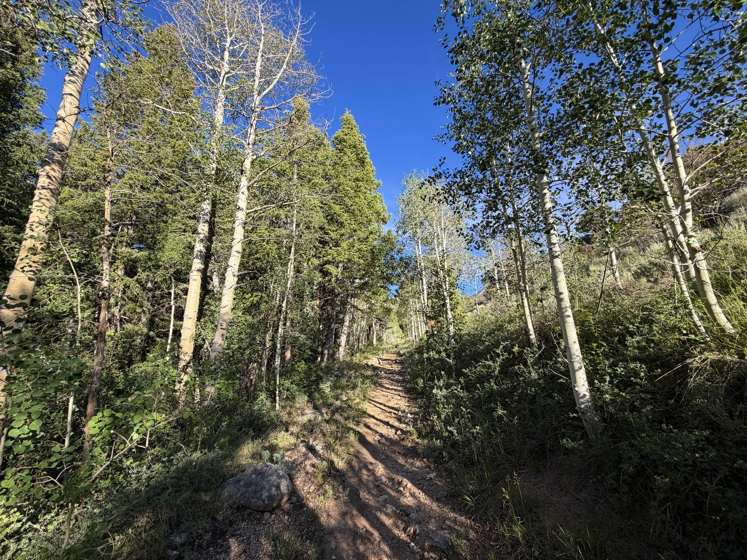 Snake Creek Overlook Trail Great Basin National Park Nevada