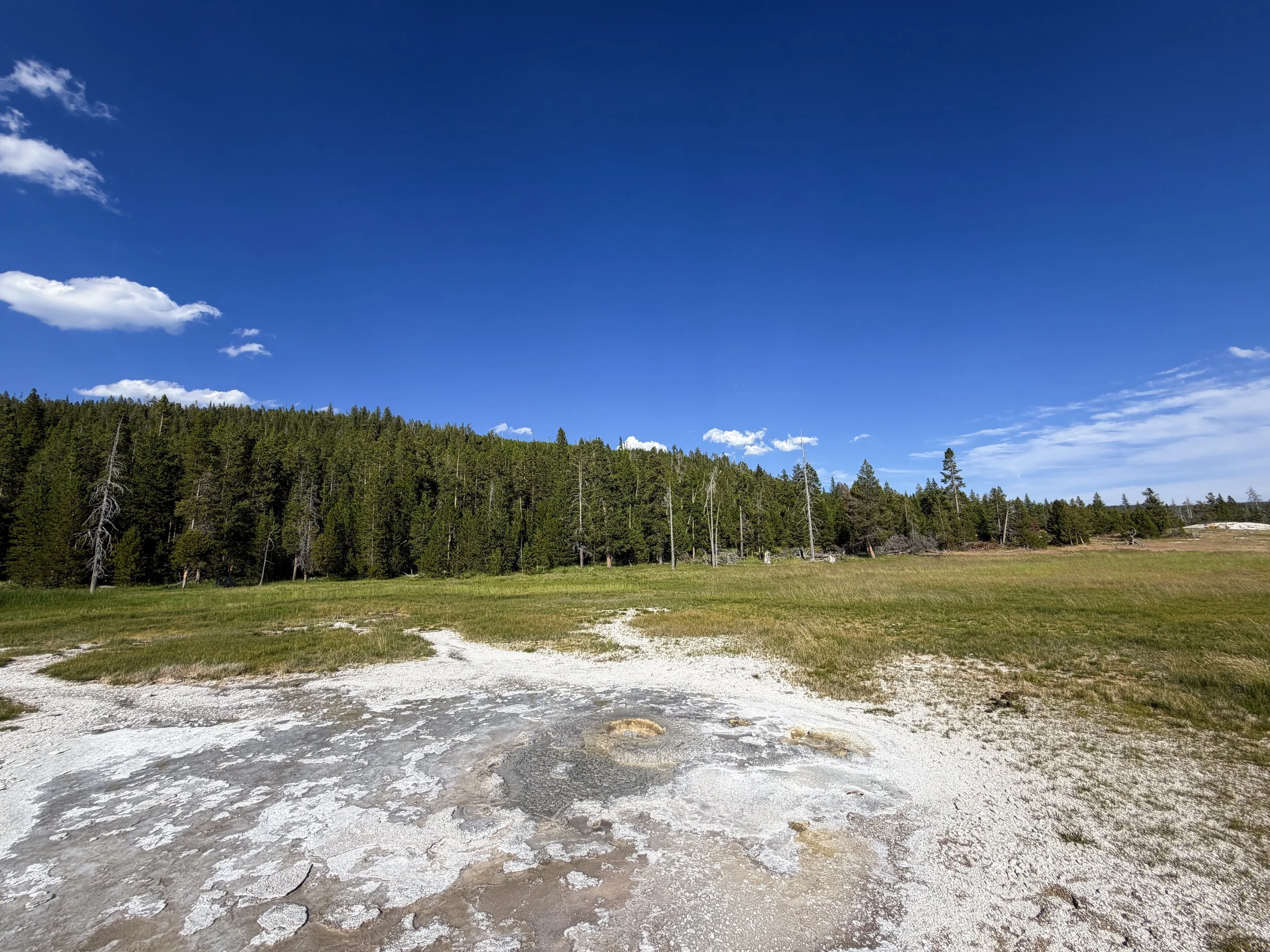 Aurum Geyser Yellowstone National Park Wyoming