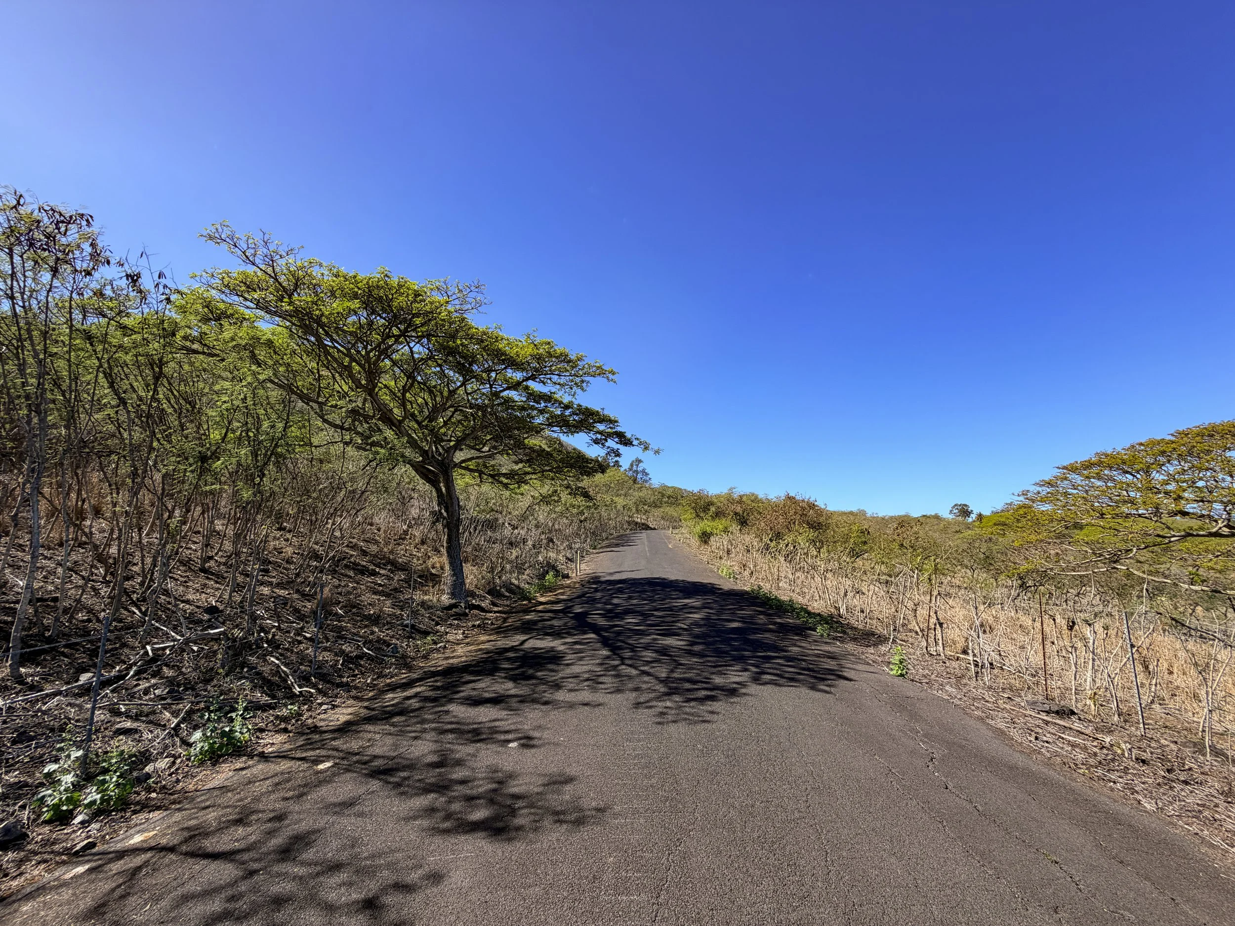 Mokuleia Access Road Trail Oahu Hawaii