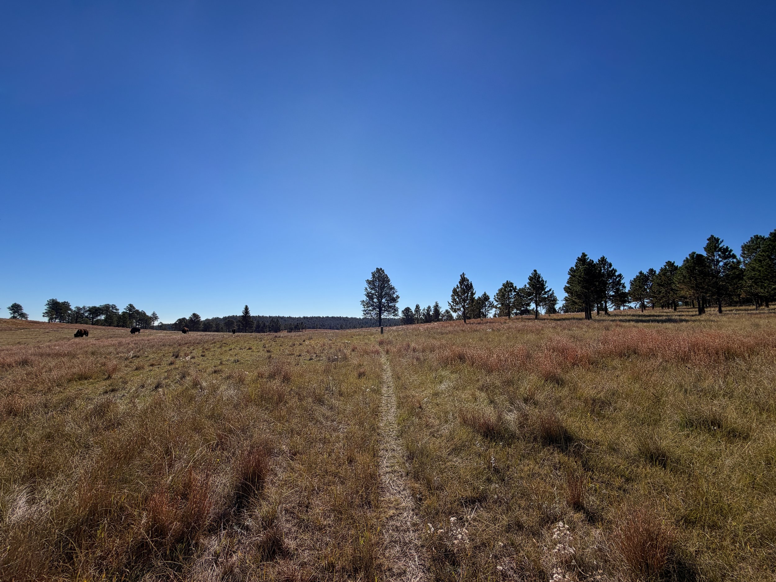 Sanctuary Hike Wind Cave National Park South Dakota
