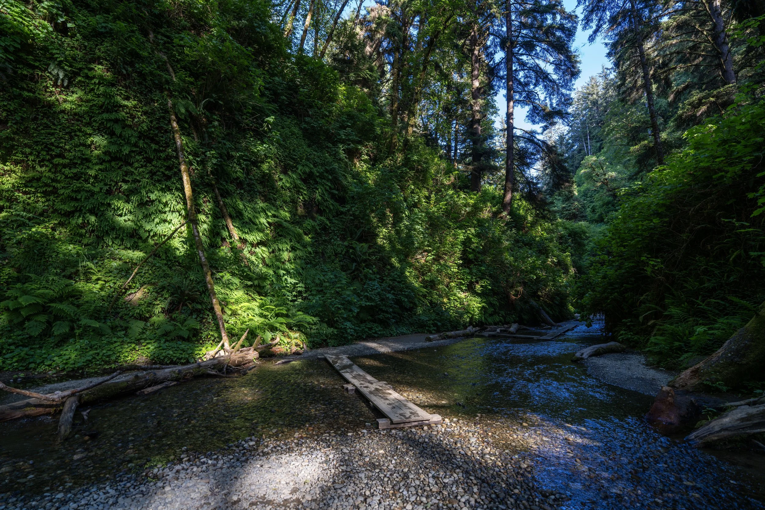 Fern Canyon Trail Prairie Creek Redwoods State Park California