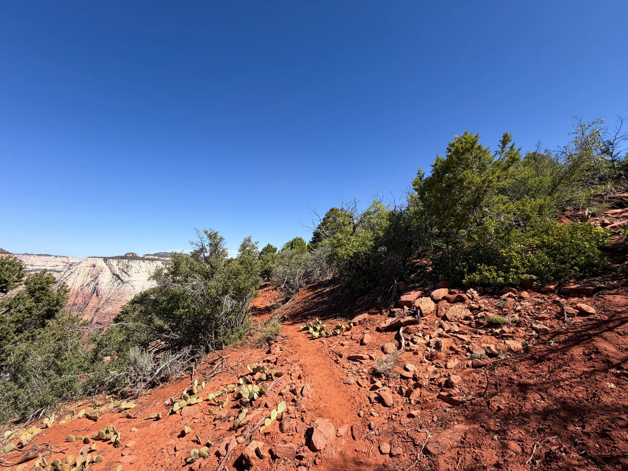 Deertrap Mountain Trail Zion National Park Utah