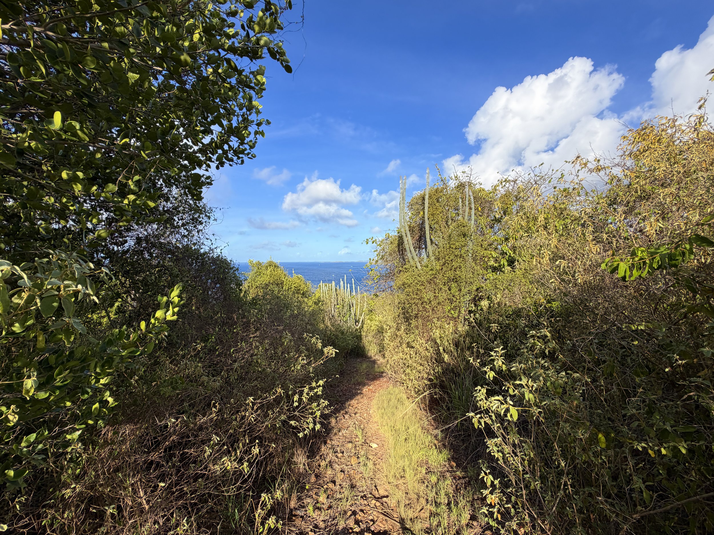 Tektite Trail Virgin Islands National Park