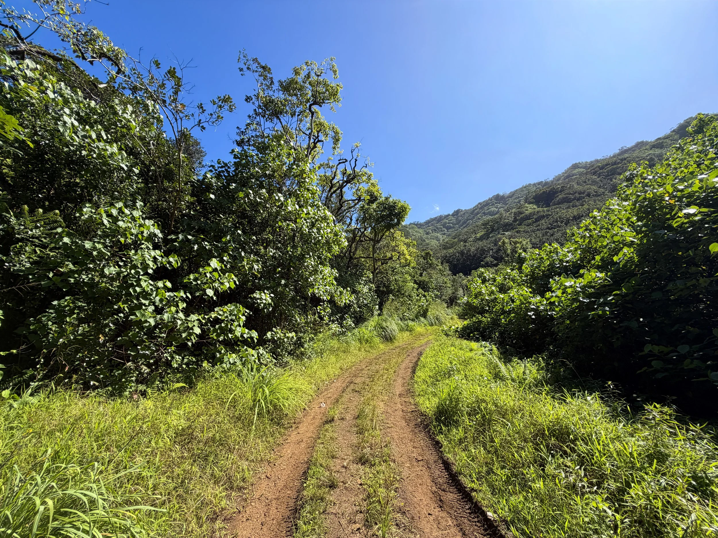 Kulanaahane Trail Oahu Hawaii