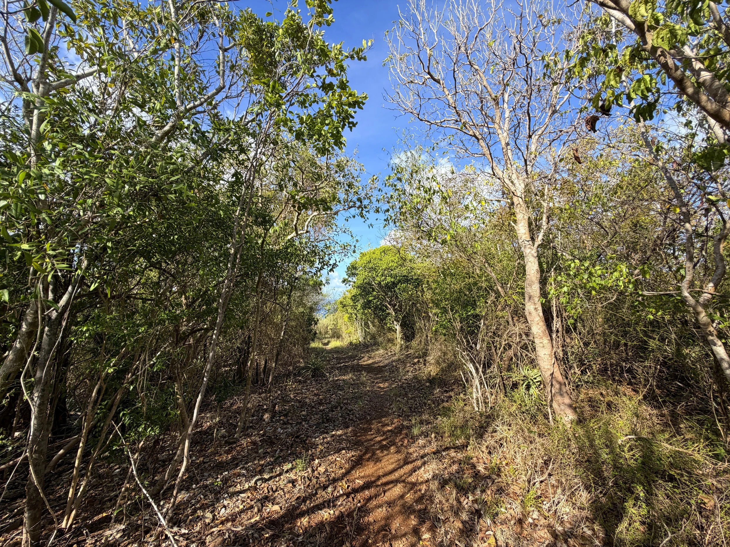 Tektite Hike Virgin Islands National Park