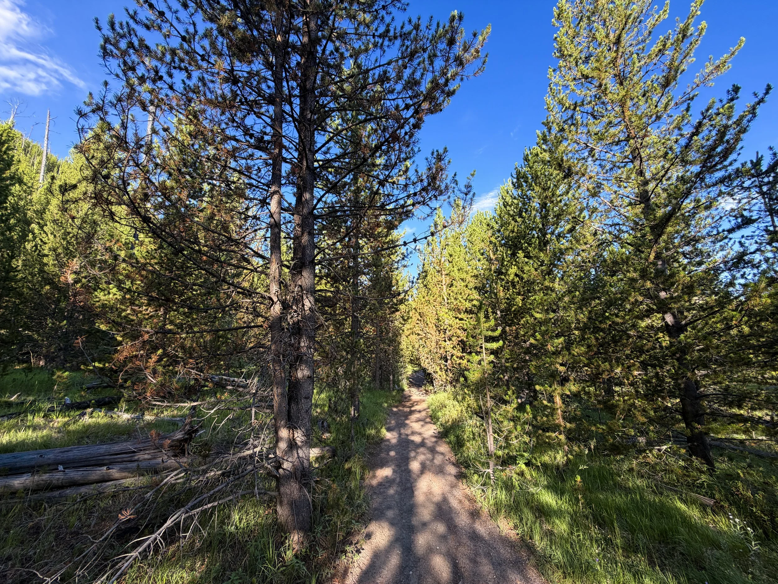 Fairy Falls Trail Yellowstone National Park Wyoming