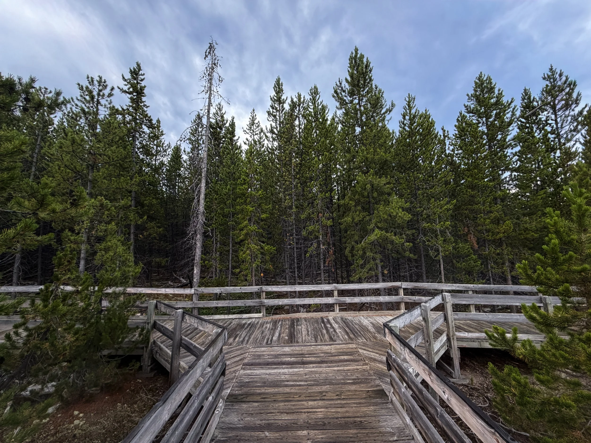 Norris Geyser Basin Trail Yellowstone National Park Wyoming