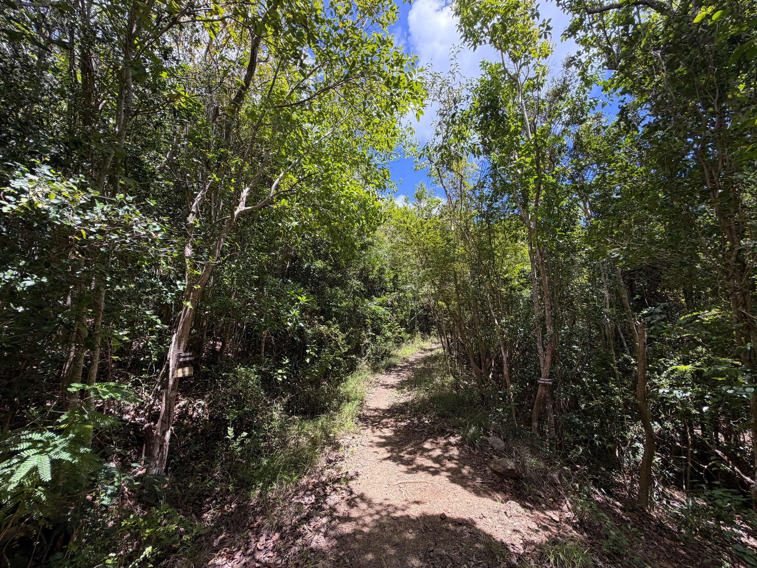 LEsperance Trail to Sieben Ruins Virgin Islands National Park