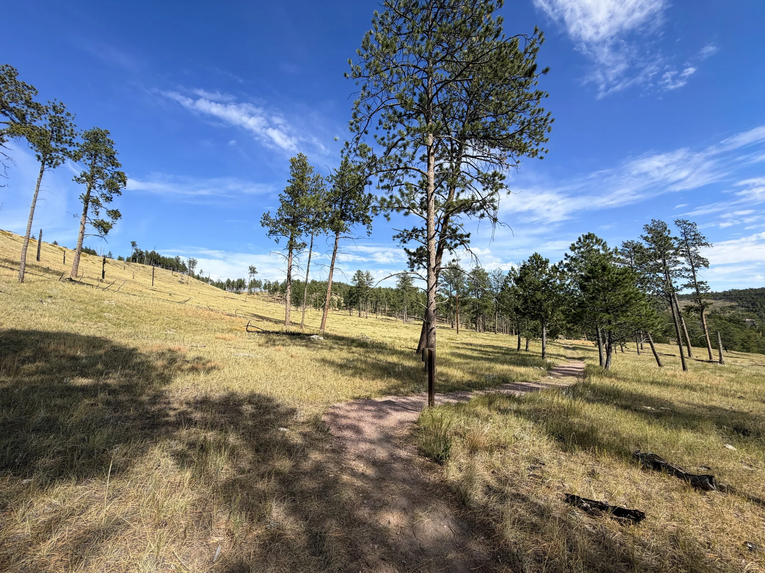 Canyons Trail Jewel Cave National Monument Black Hills South Dakota