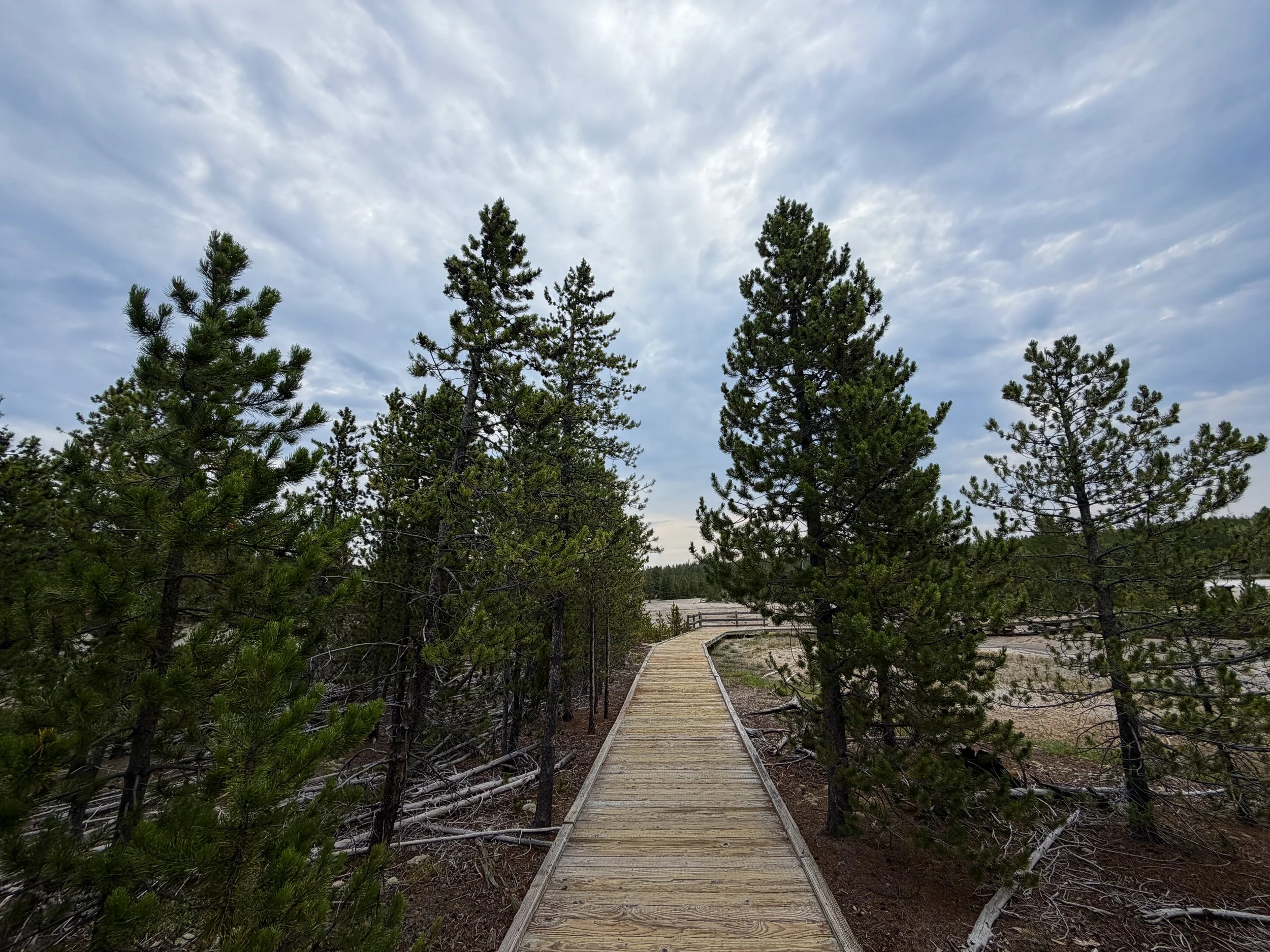 Back Basin Norris Geyser Basin Trail Yellowstone National Park Wyoming