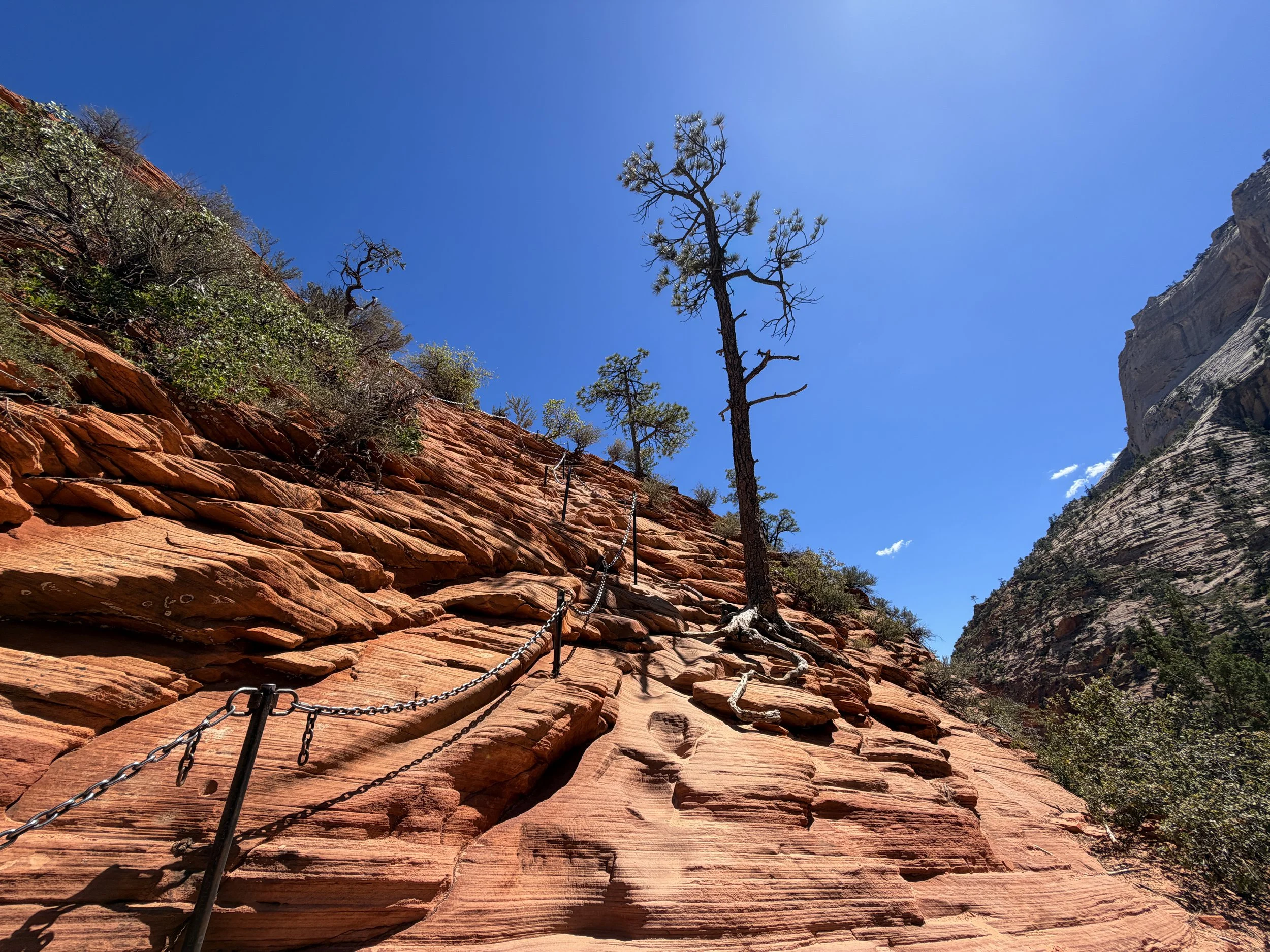 Angels Landing Trail Chains Zion National Park Utah