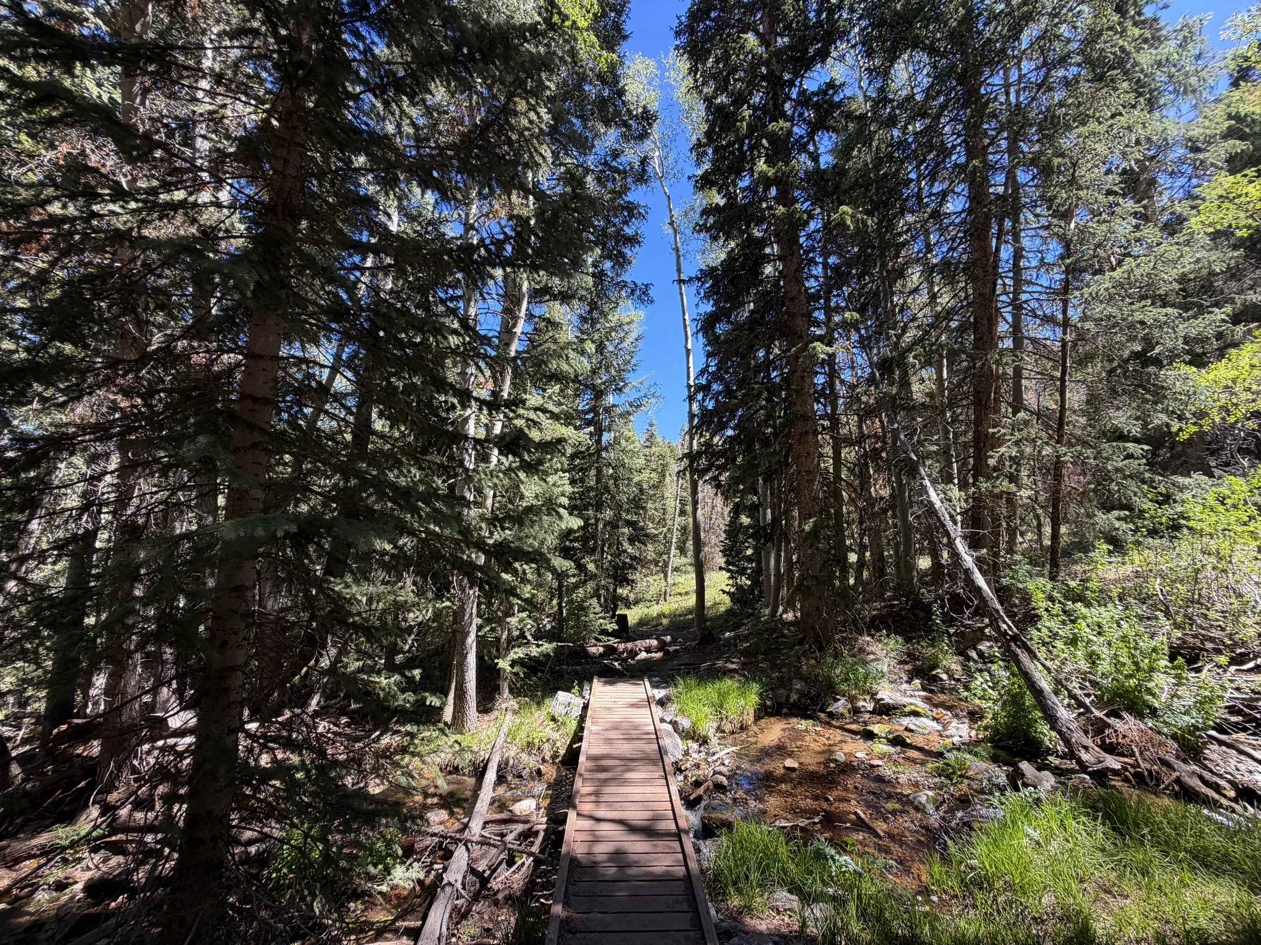 Baker Creek Loop Hike Great Basin National Park Nevada